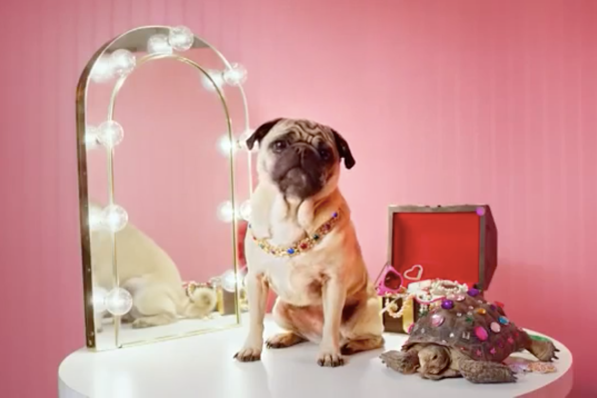 What You Need to Know *Now* About Obamacare 