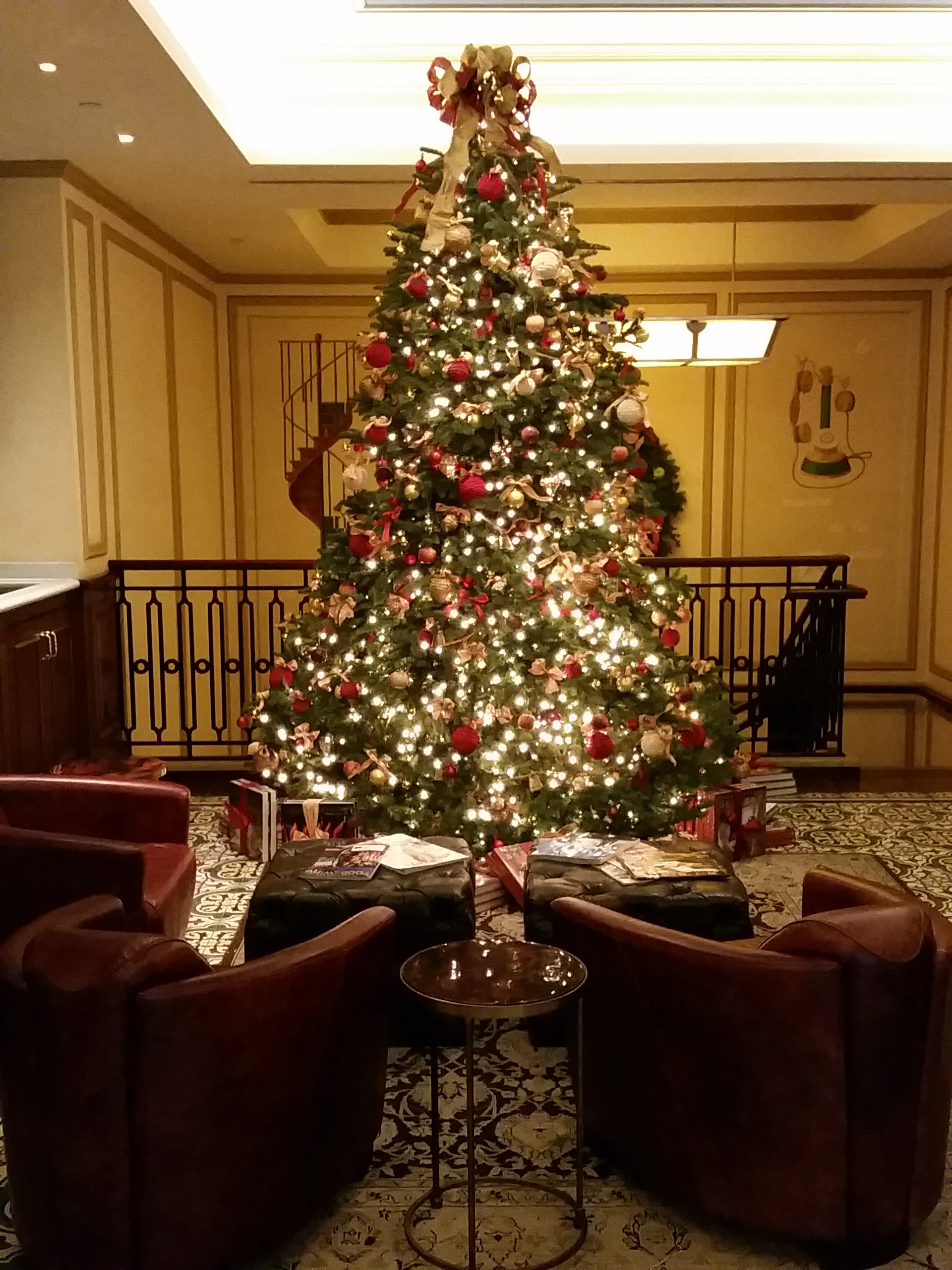 Holiday — Lily Lodge