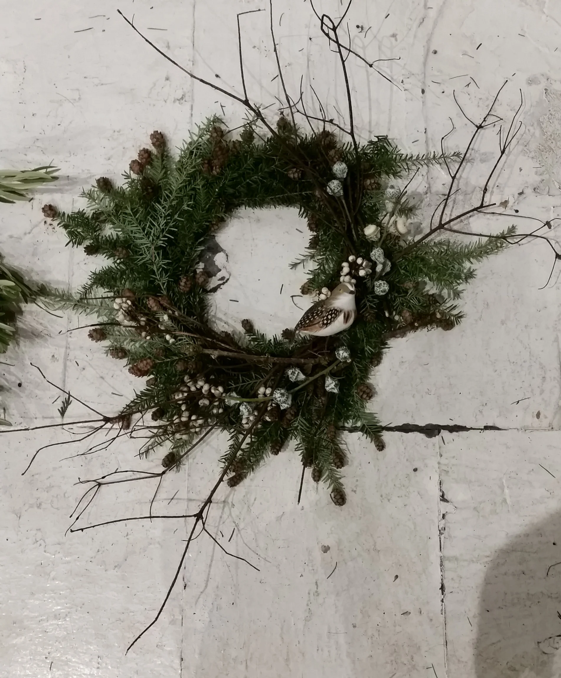 Holiday — Lily Lodge