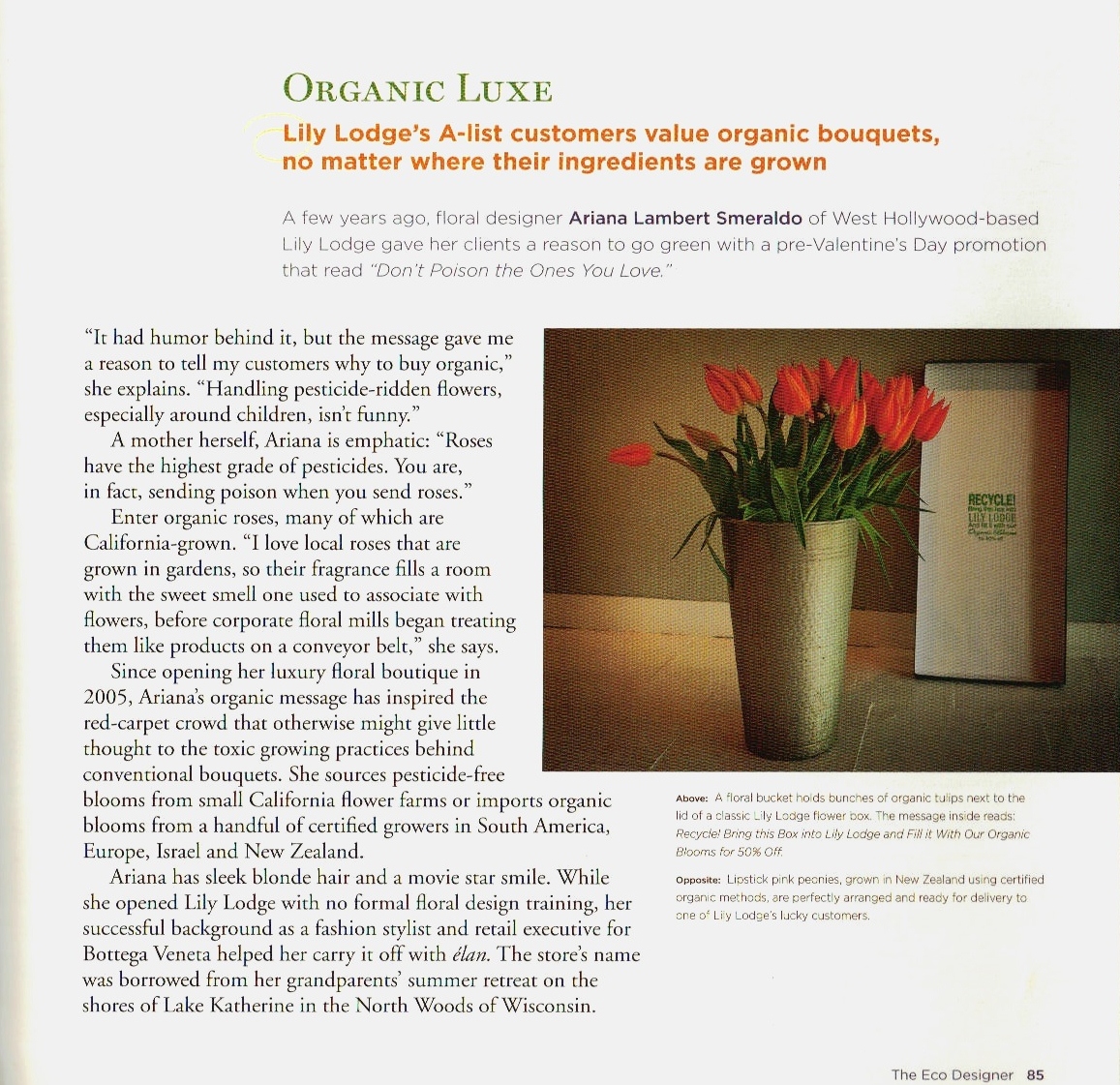 Organic Luxe P1.jpg