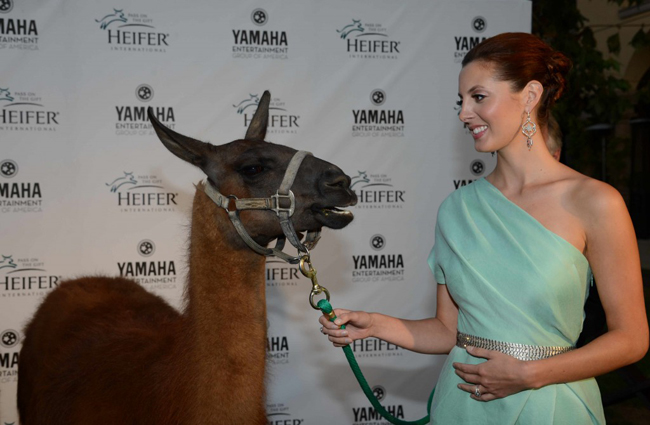 Eva Amurri Martino with special guest. © Heifer International