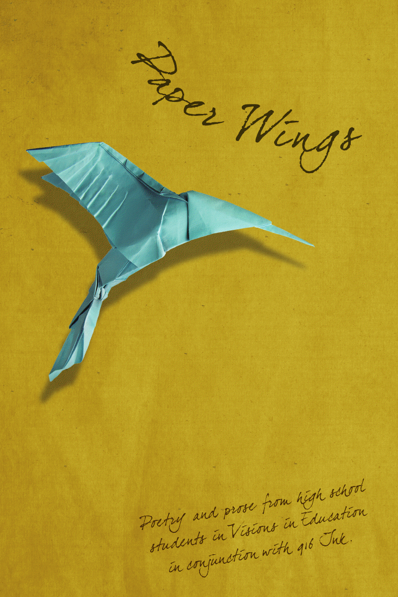 Paper Wings Cover.png
