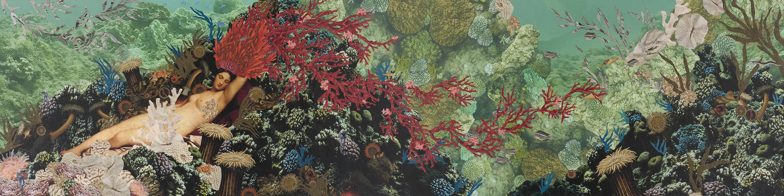 Siren’s Sleep (original size 12” x 24”) ORDER