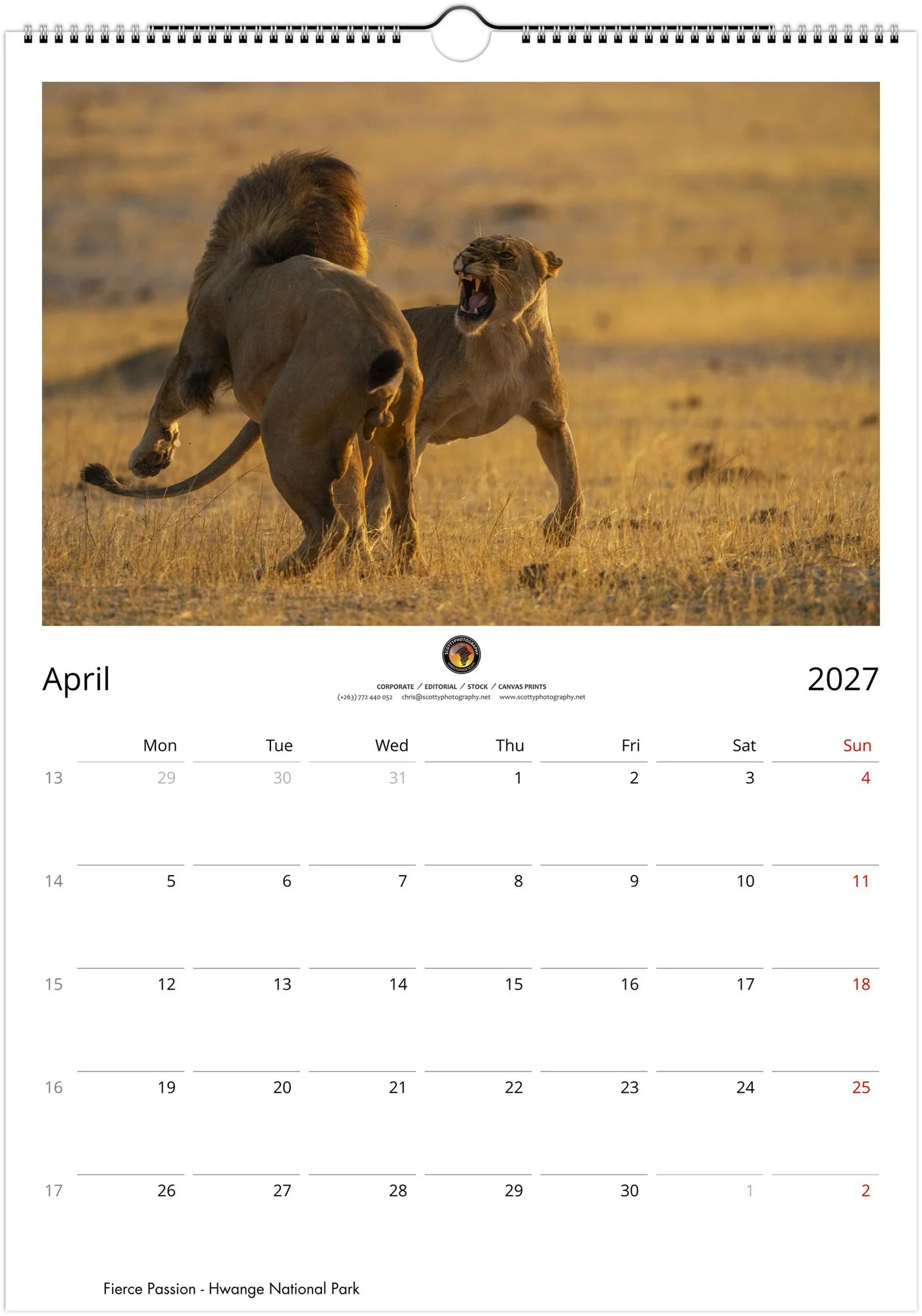 month-4.jpg