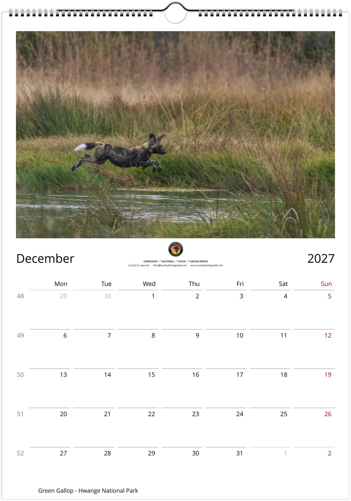 month-12.jpg