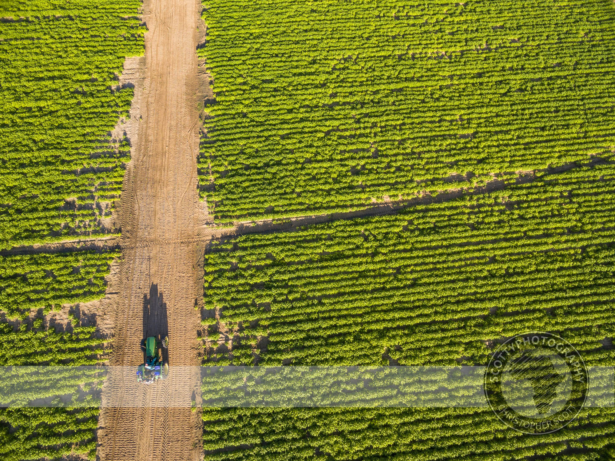 DJI_0049.jpg