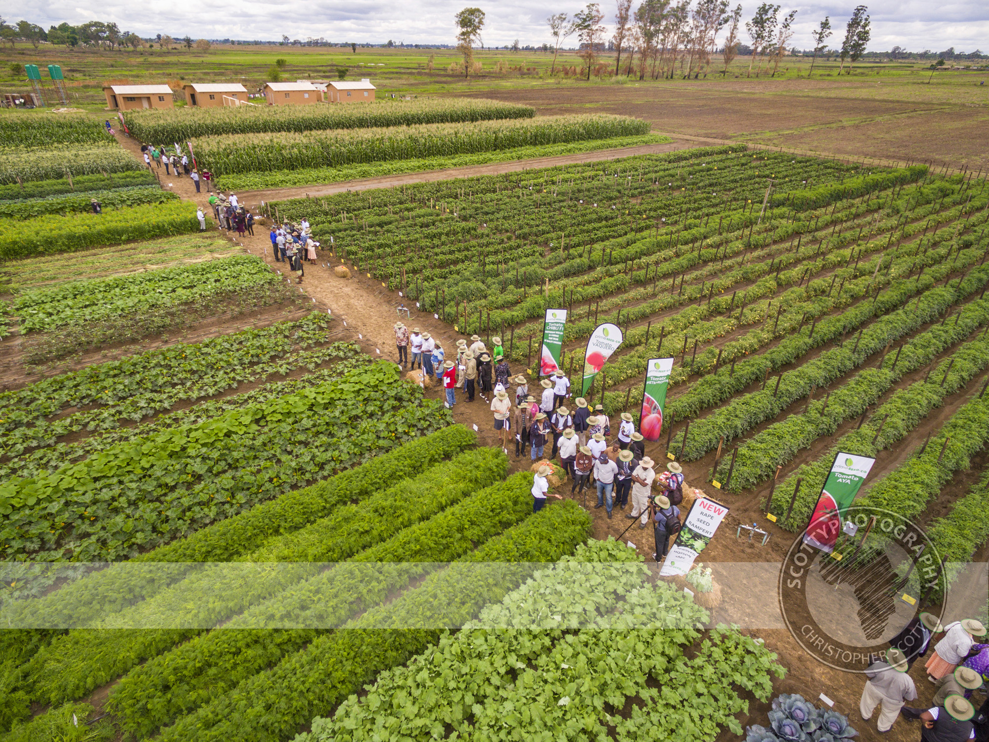 DJI_0045.jpg