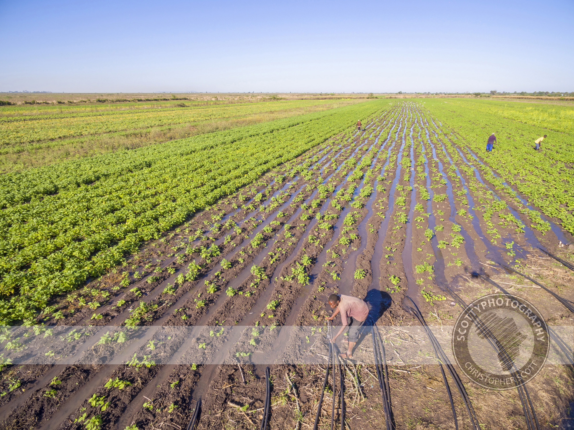 DJI_0276-HDR.jpg