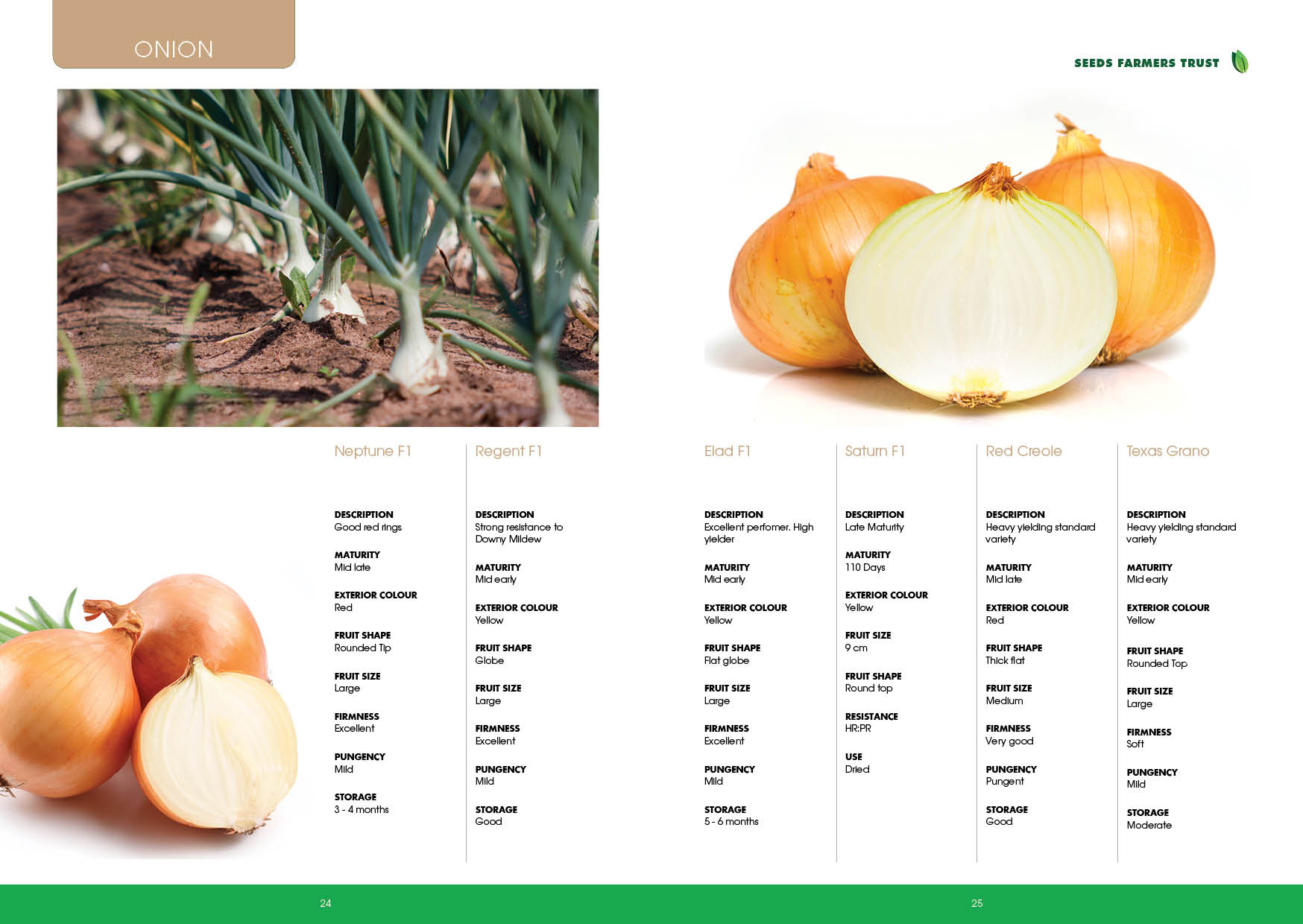 Prime Seed Catalogue A513.jpg