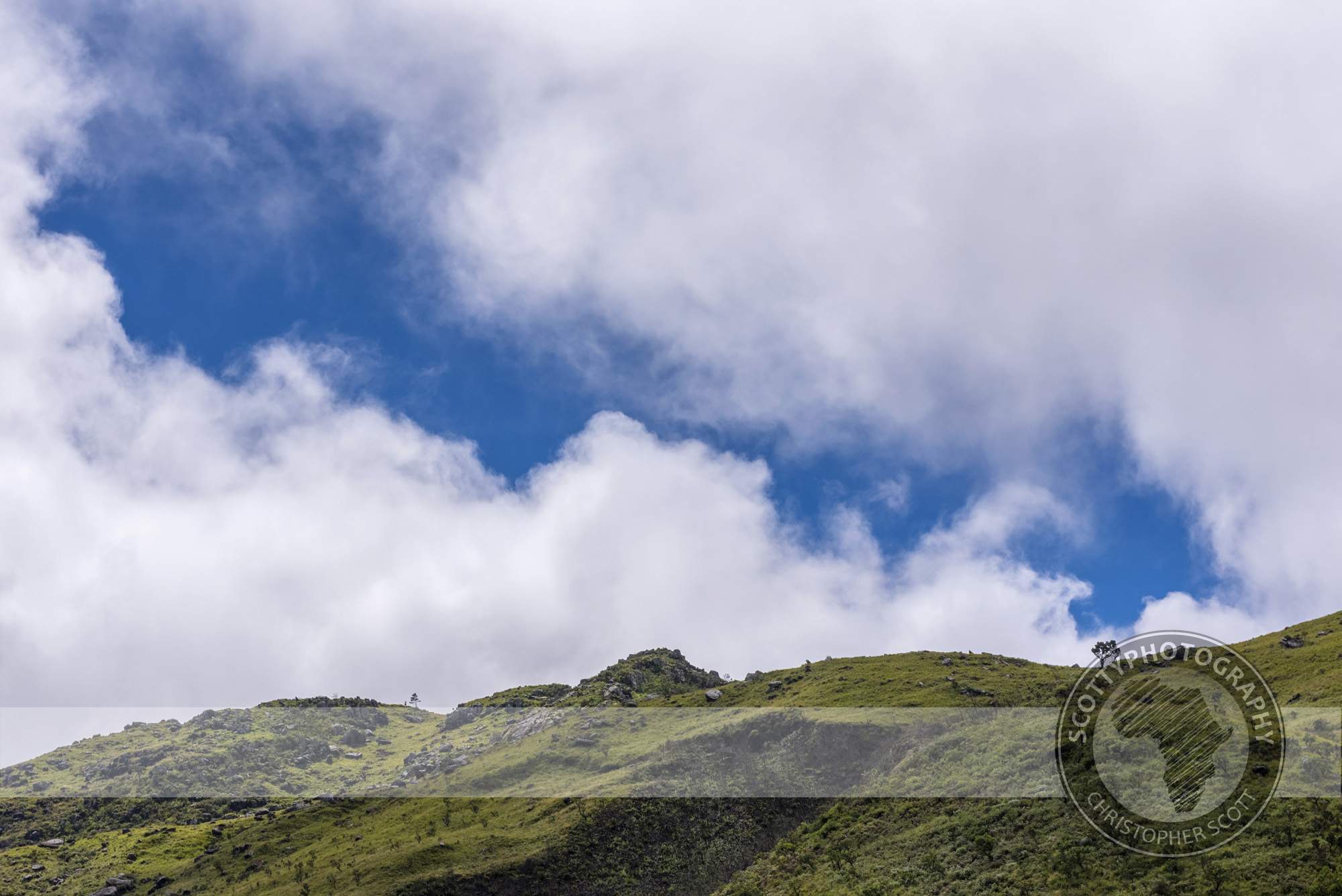 _DSC5201-HDR.jpg