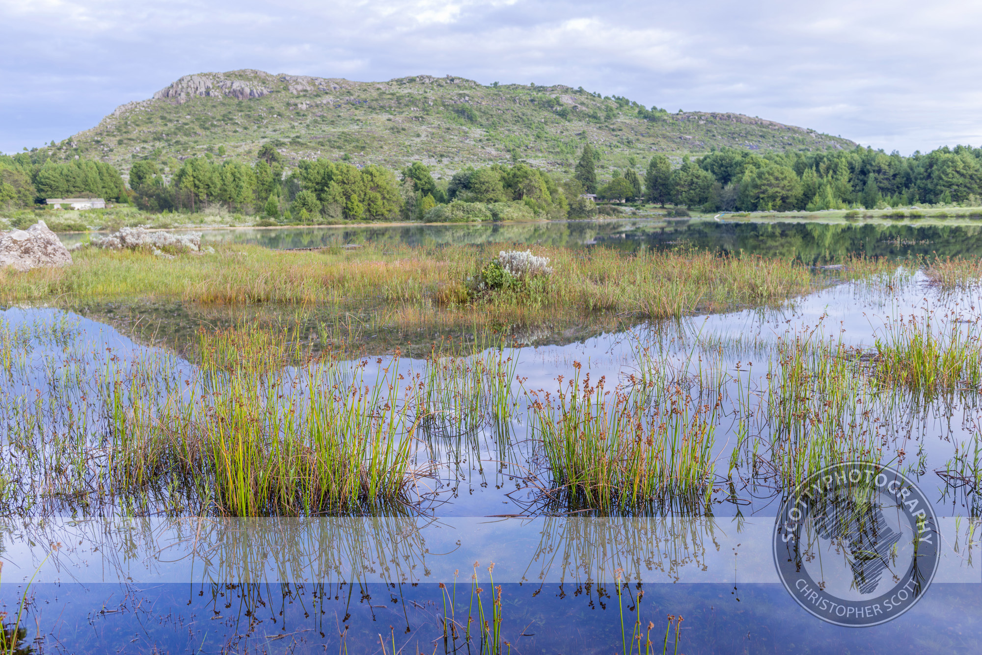 _DSC7301-HDR.jpg