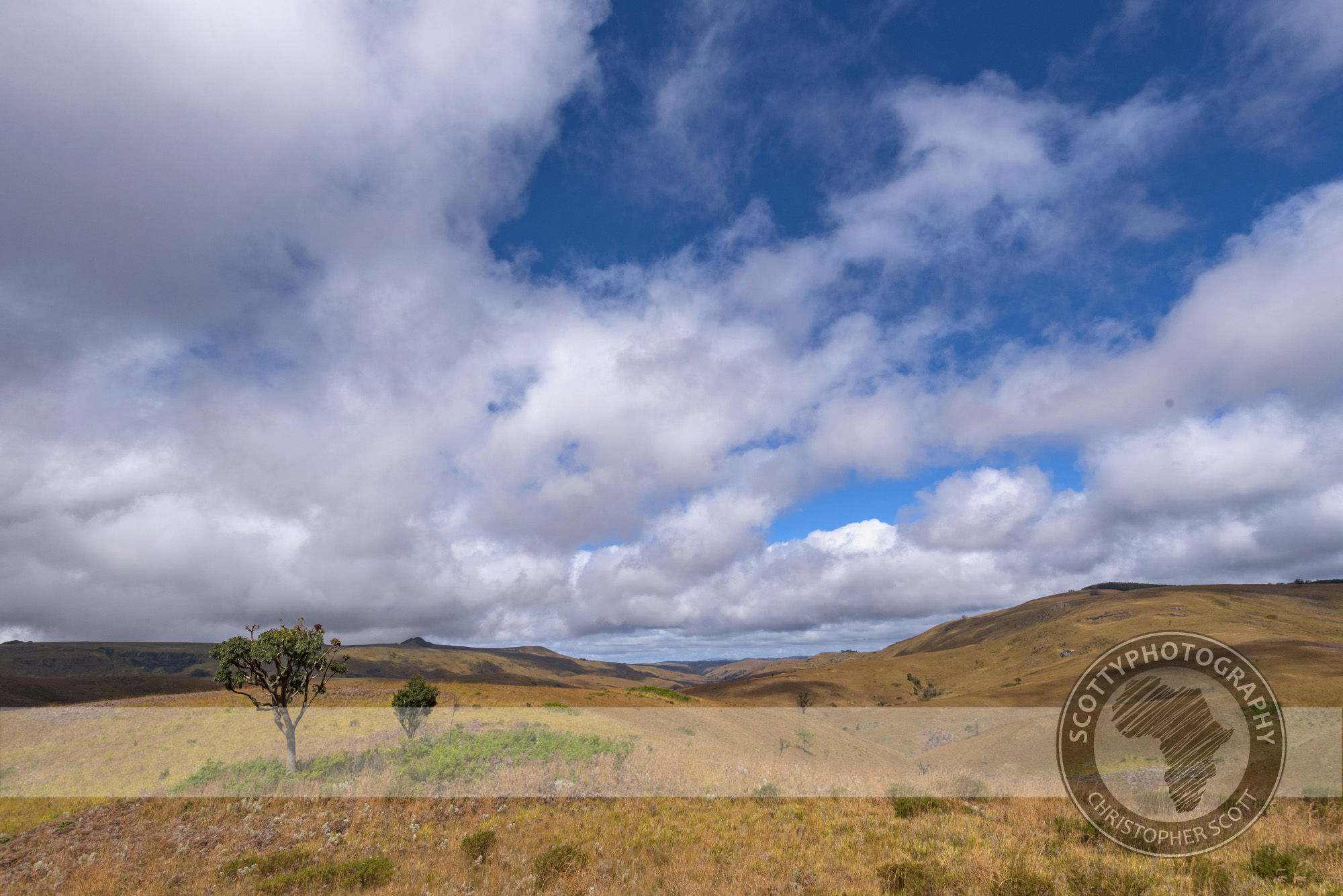 Nyanga-2599.jpg