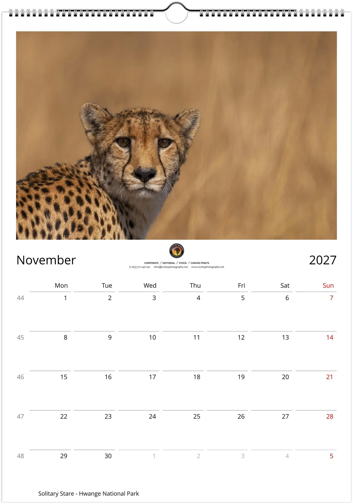 month-11.jpg
