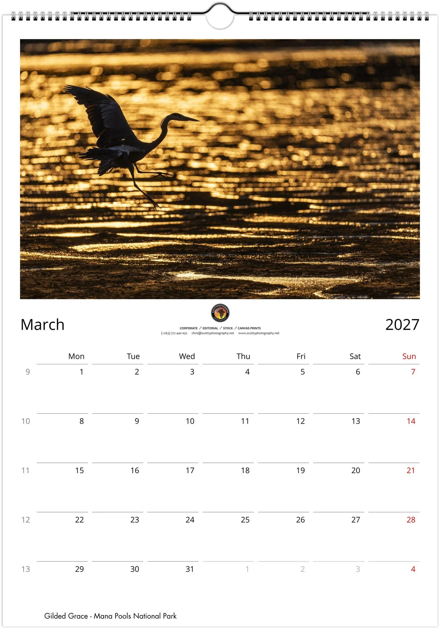month-3.jpg