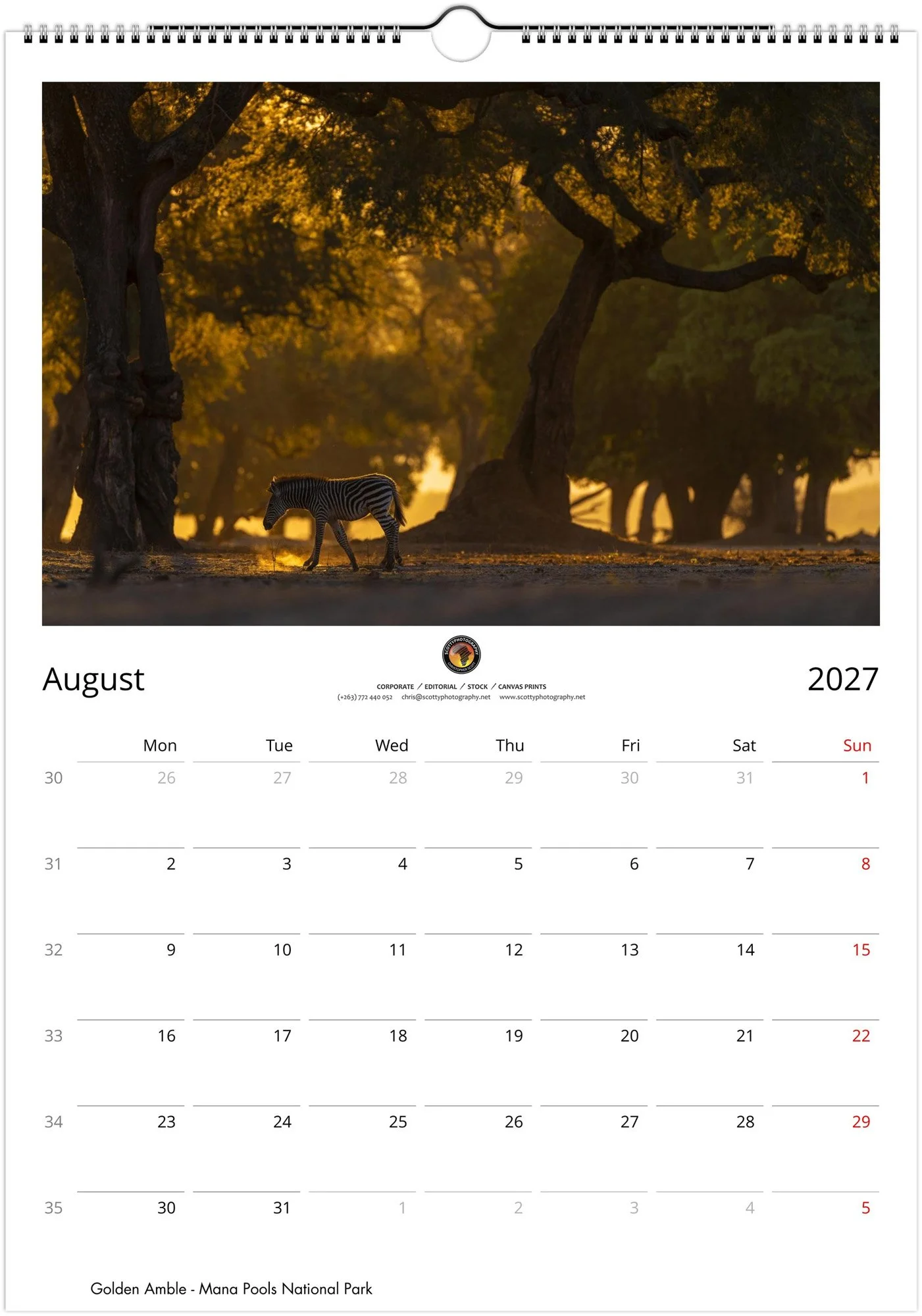 month-8.jpg