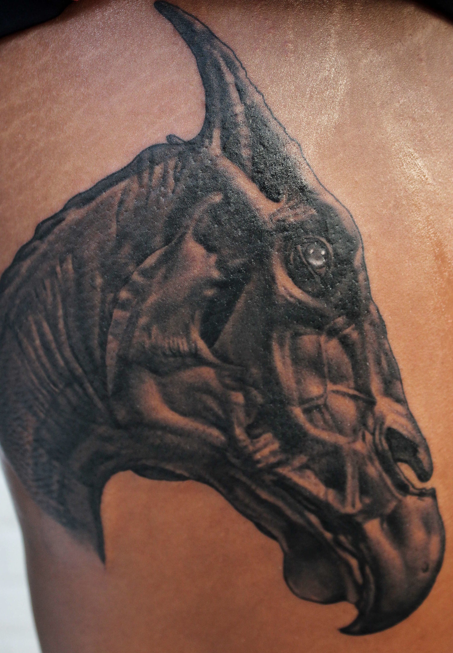 pics Thestral Tattoo Design cardinal tattoo