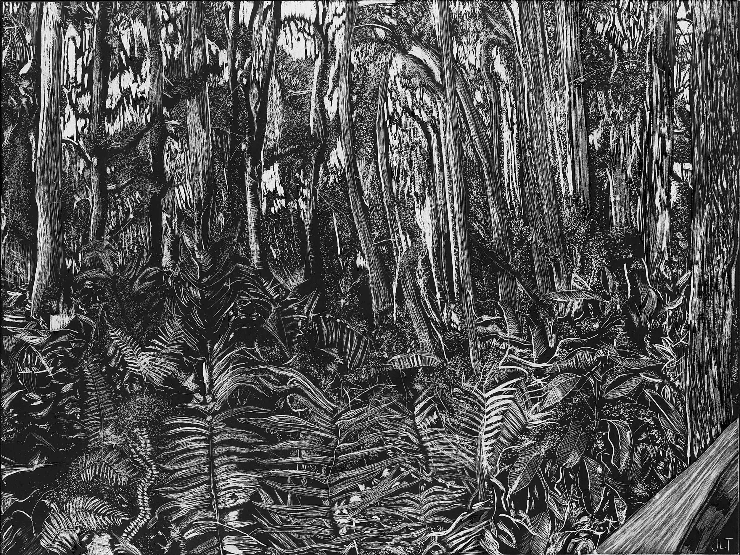 the_swamp_scratchboard.jpg
