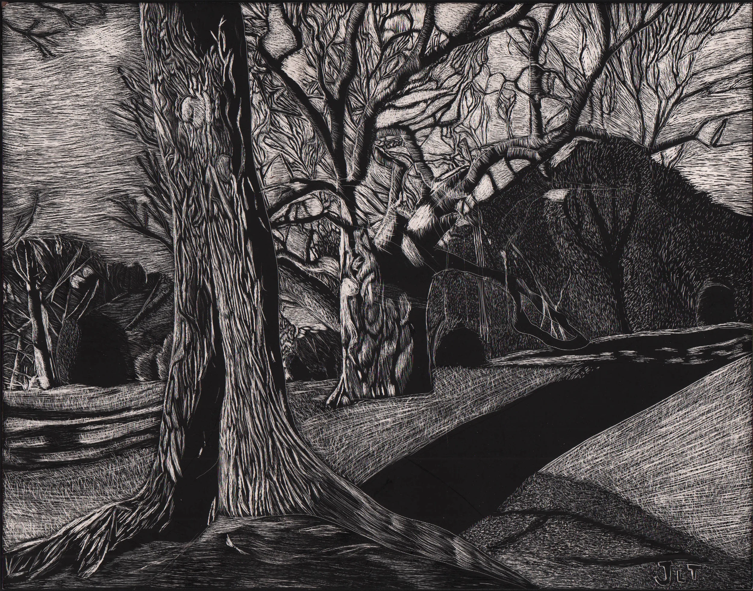 trees copy.jpg