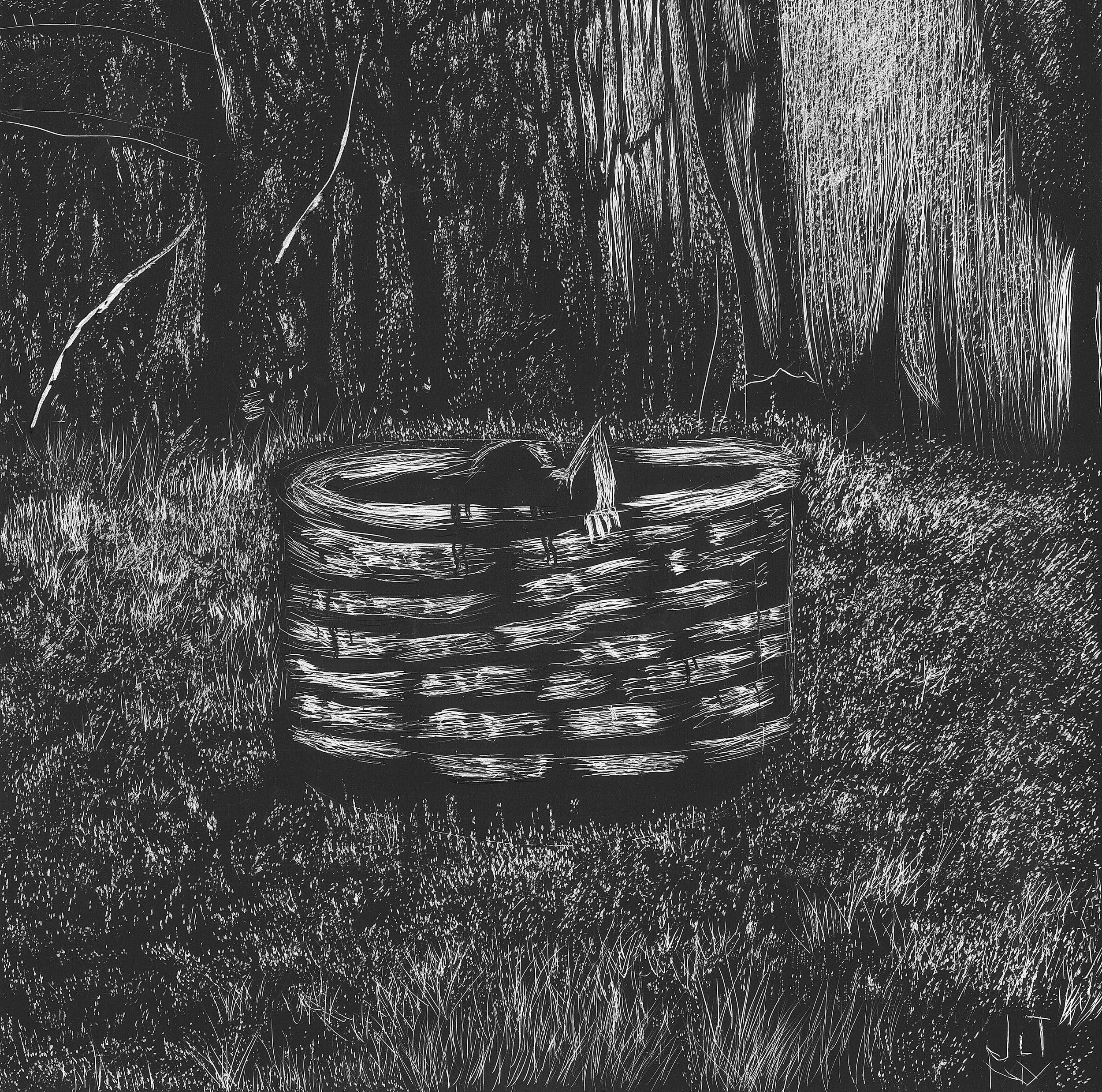 The ring 2.jpg