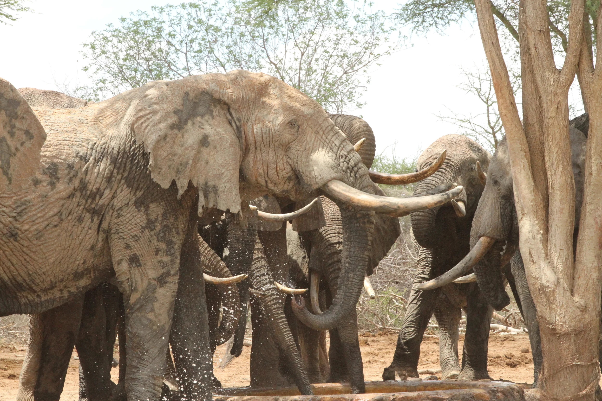 School Competition Banner.JPG