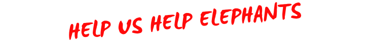 HELP US HELP ELEPHANTS.png