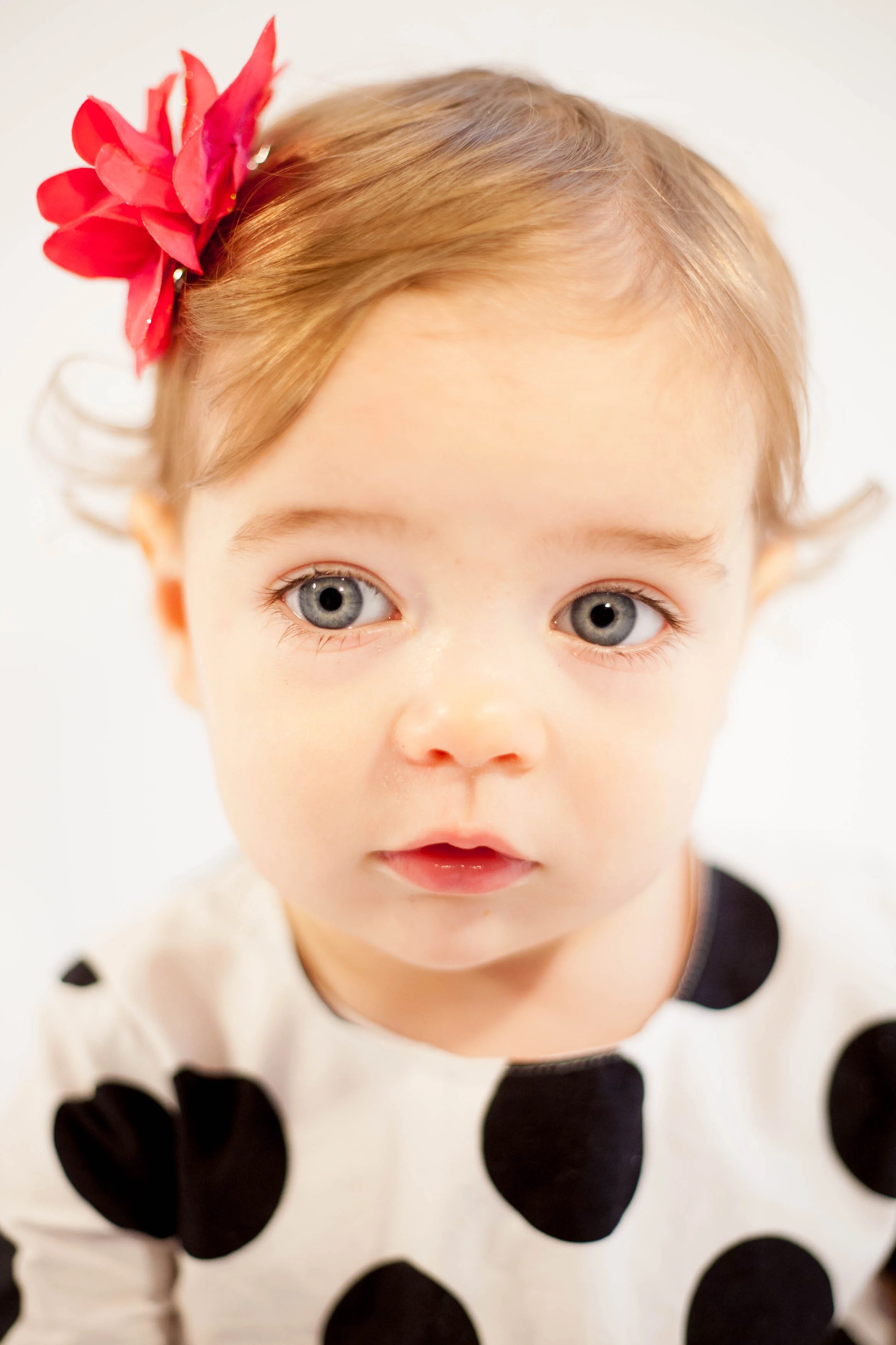 Chicago Children's and Family Photographer. A Baby, Kids, Teen & Family Portrait Studio. No Session Fees.
