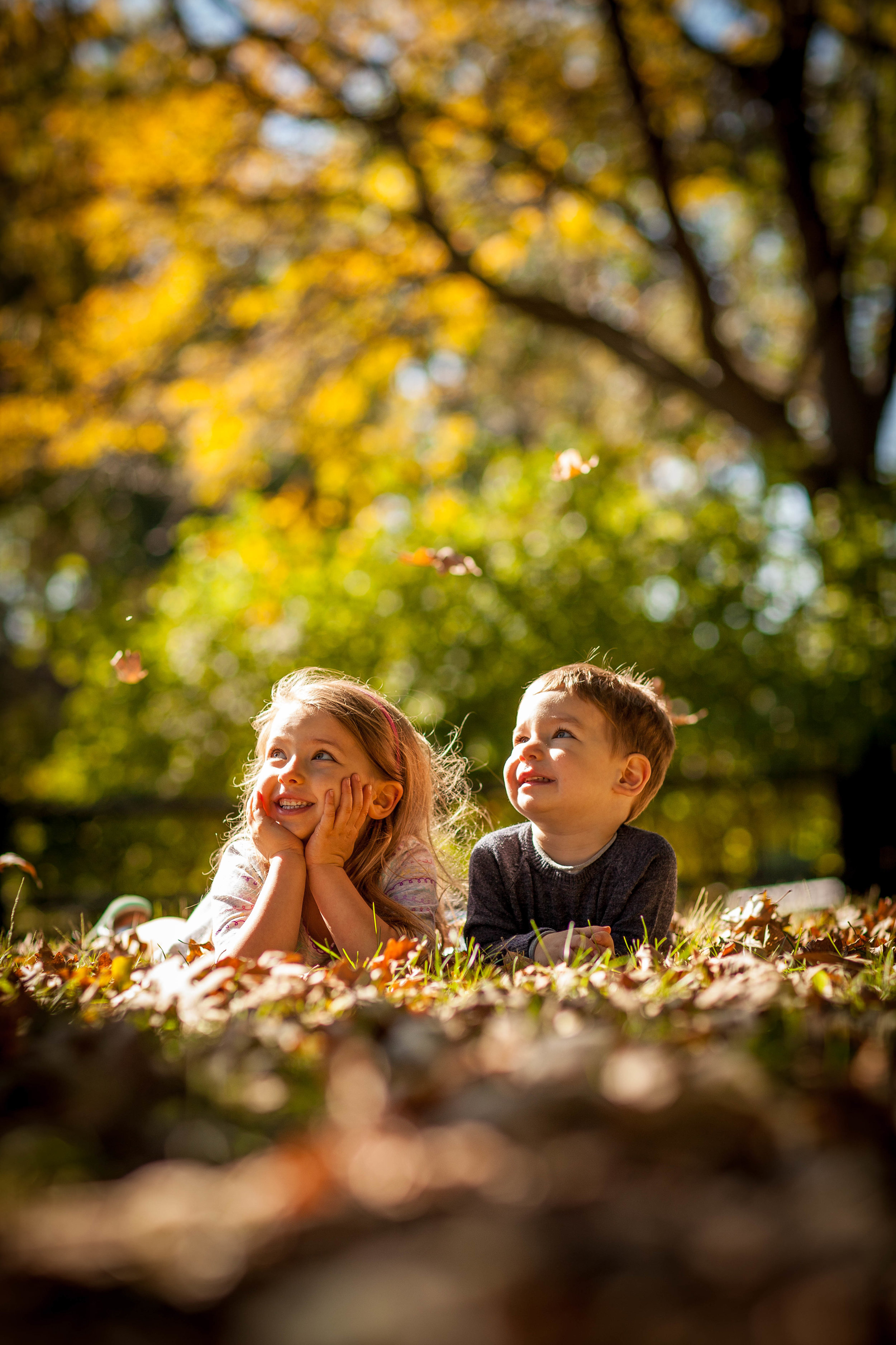 chicago kids photography