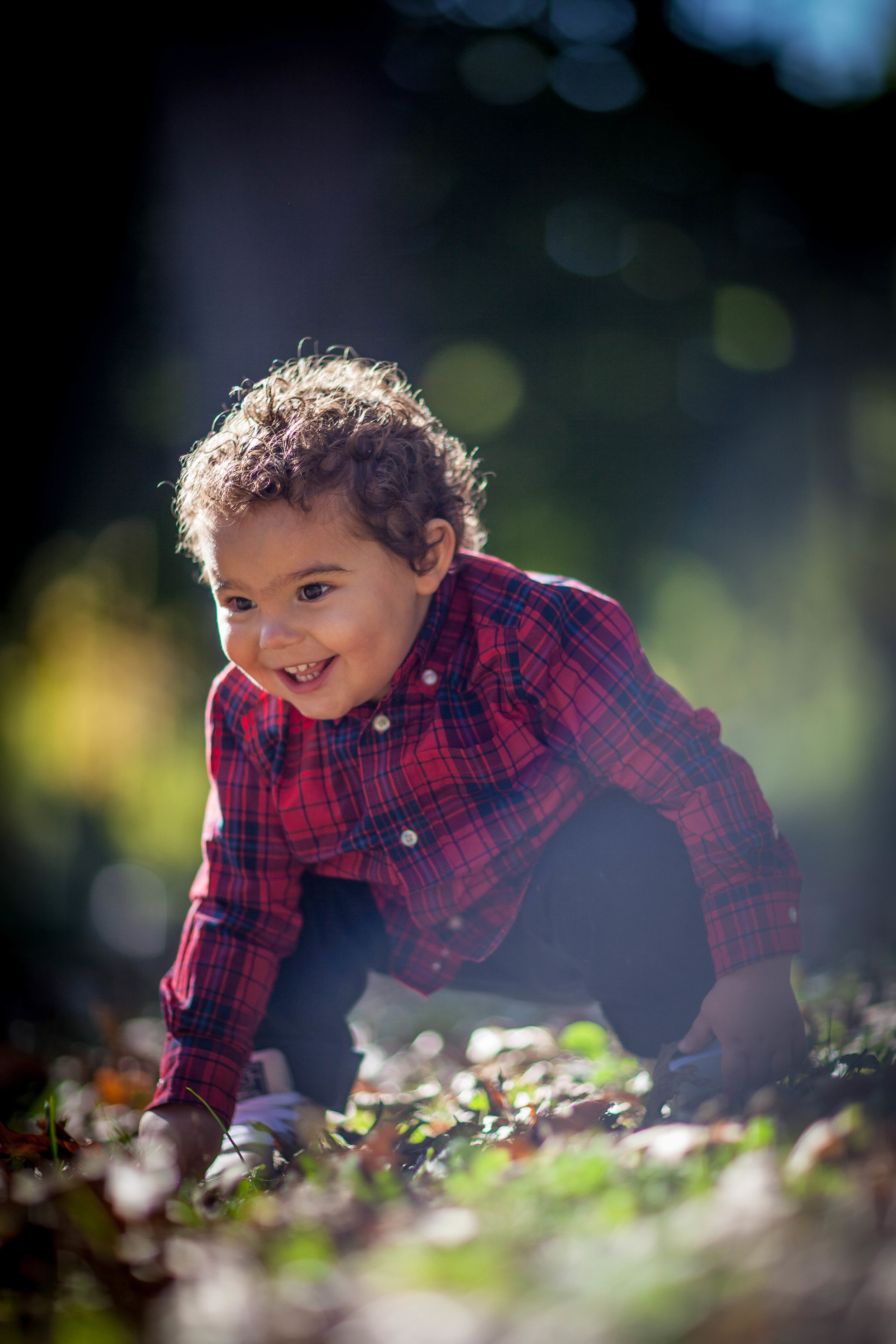 chicago childrens photographer