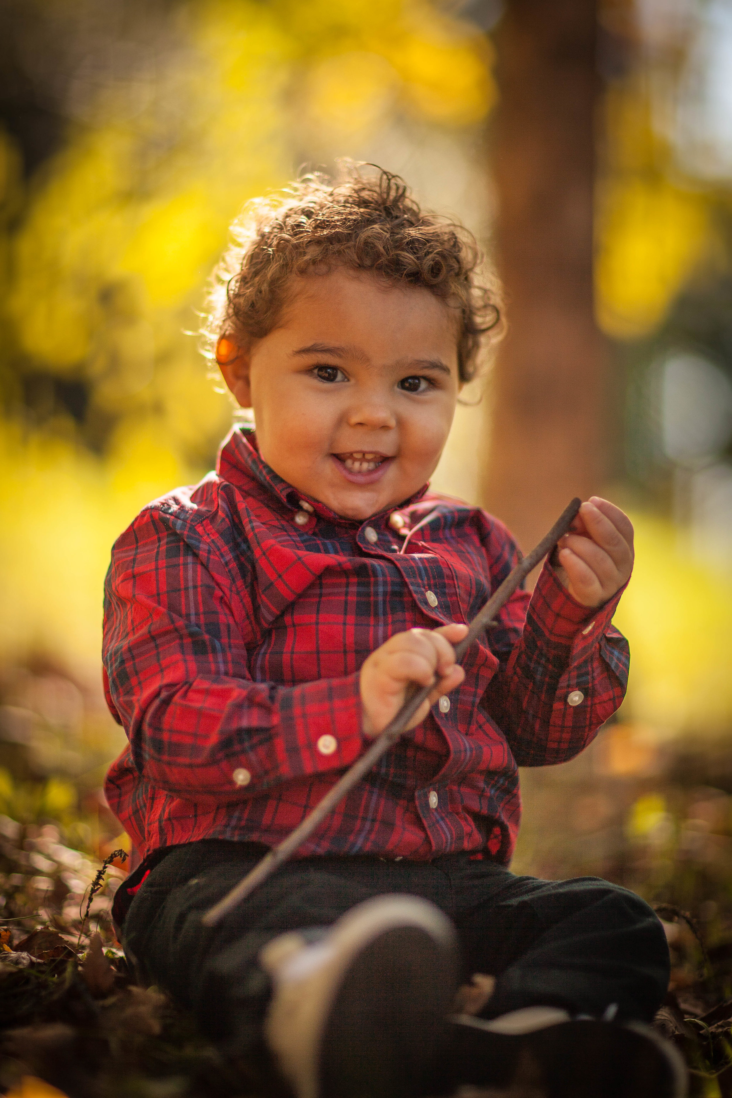 one year old photographer chicago