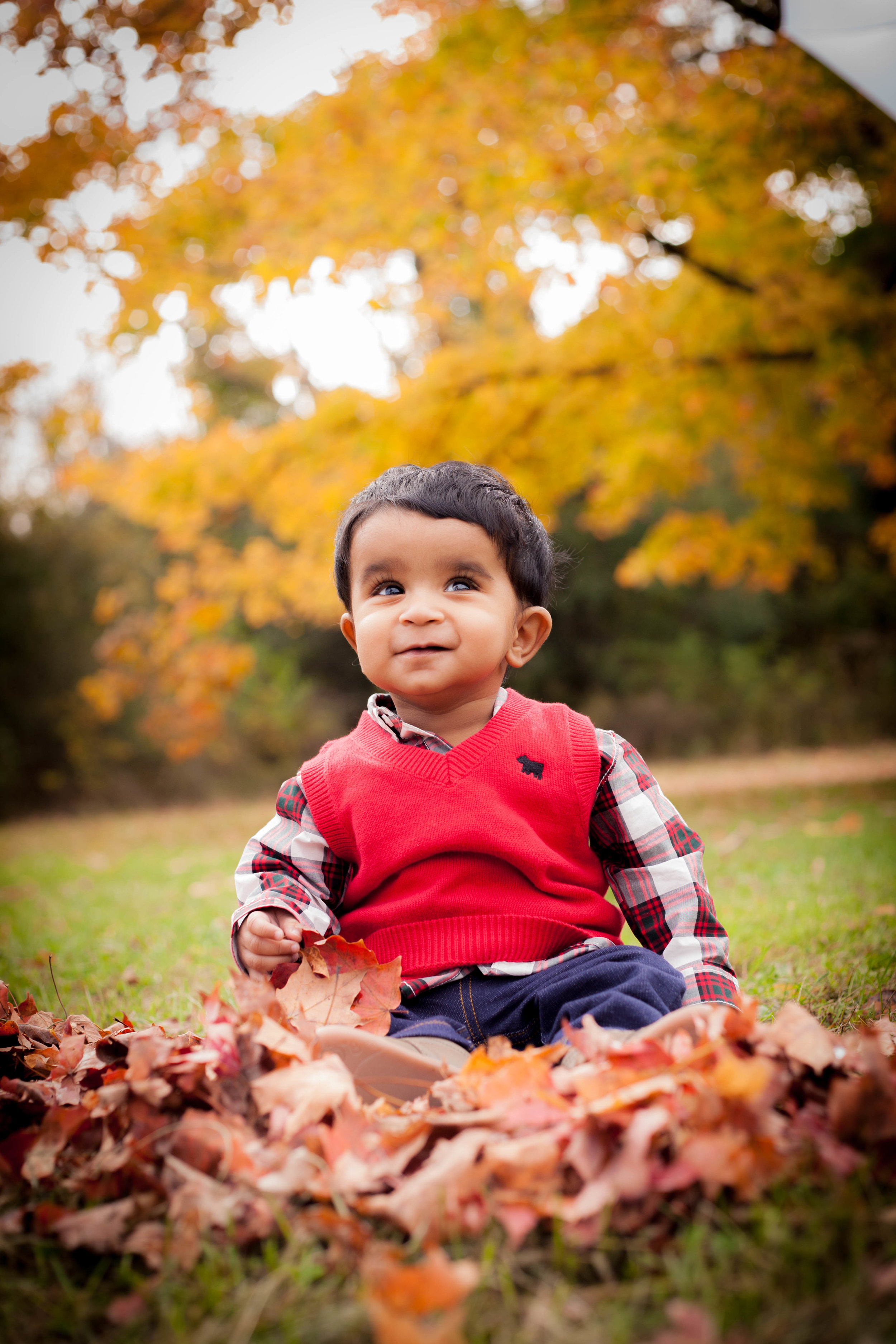 Baby Photographer in chicago