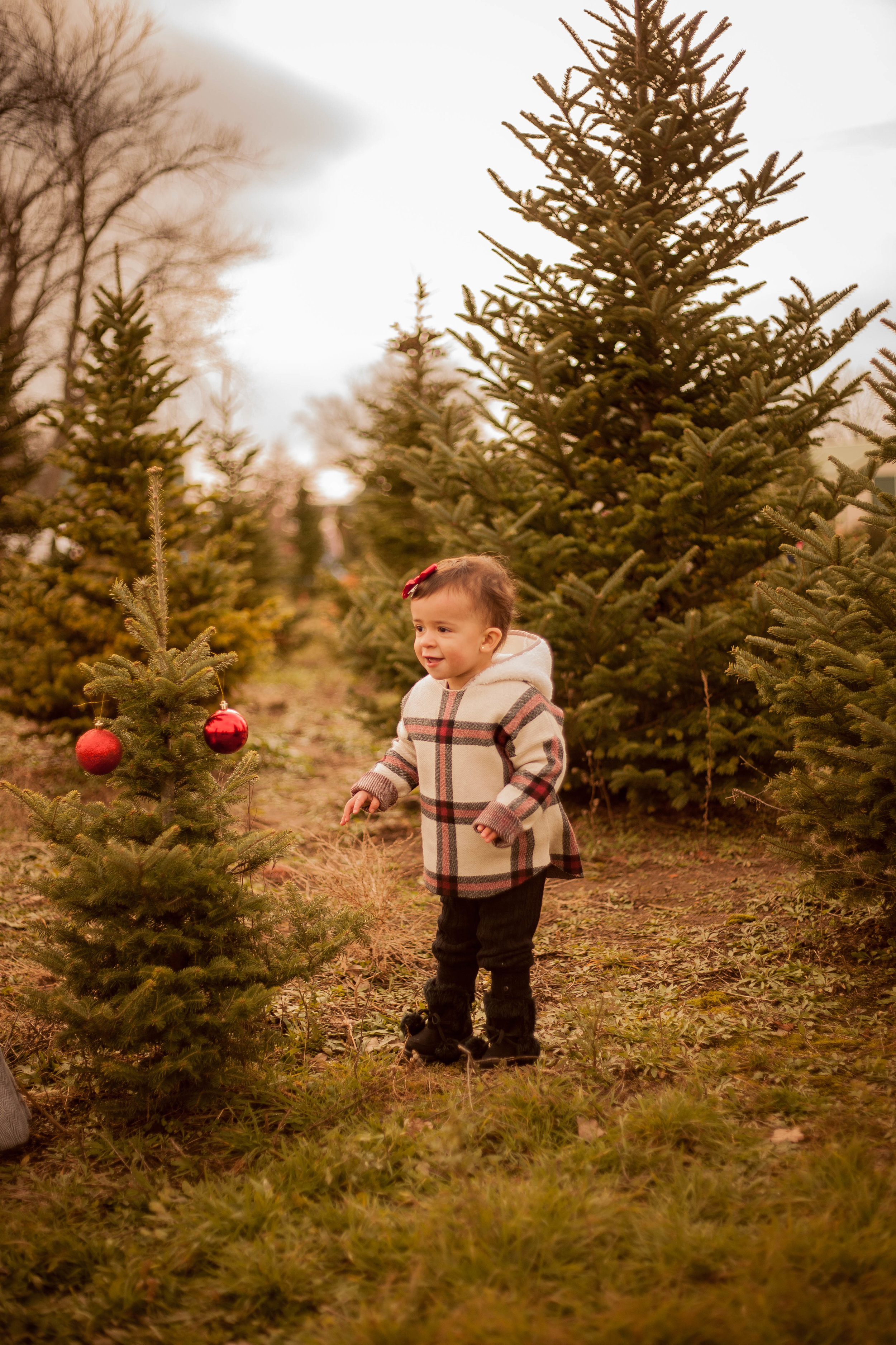 baby holiday photographer