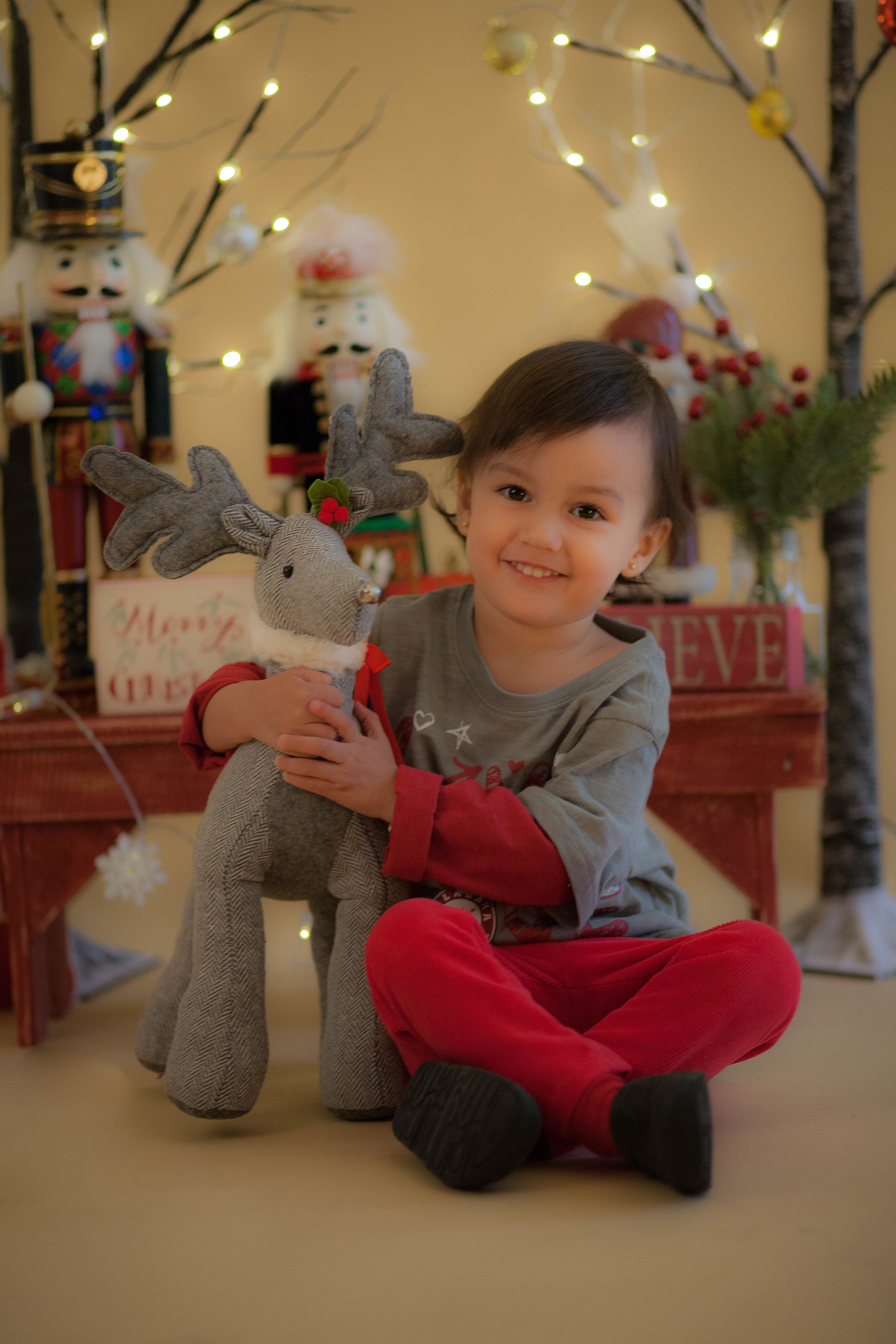 chicago holiday portrait photographer for kids