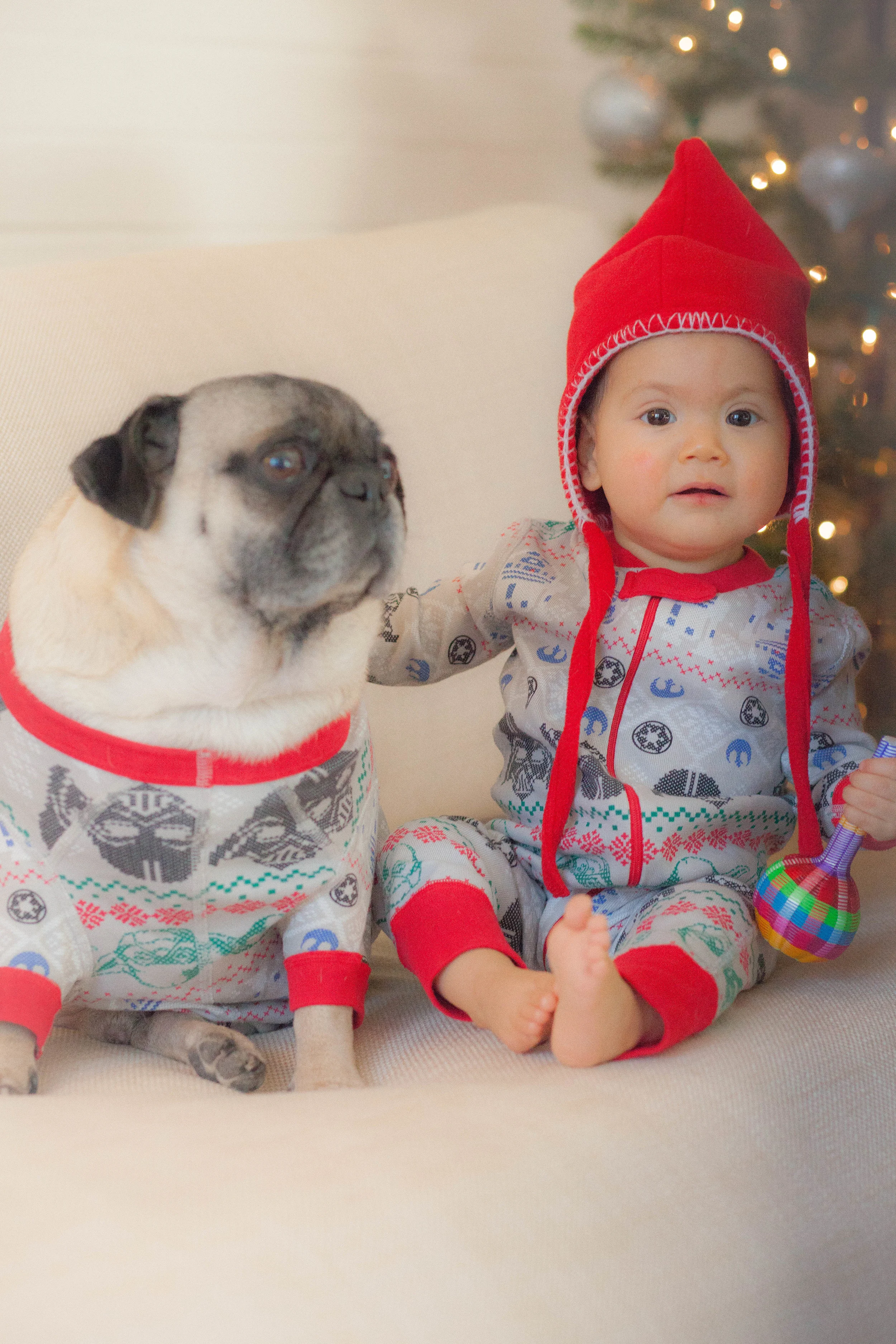 chicago kids and pets photography