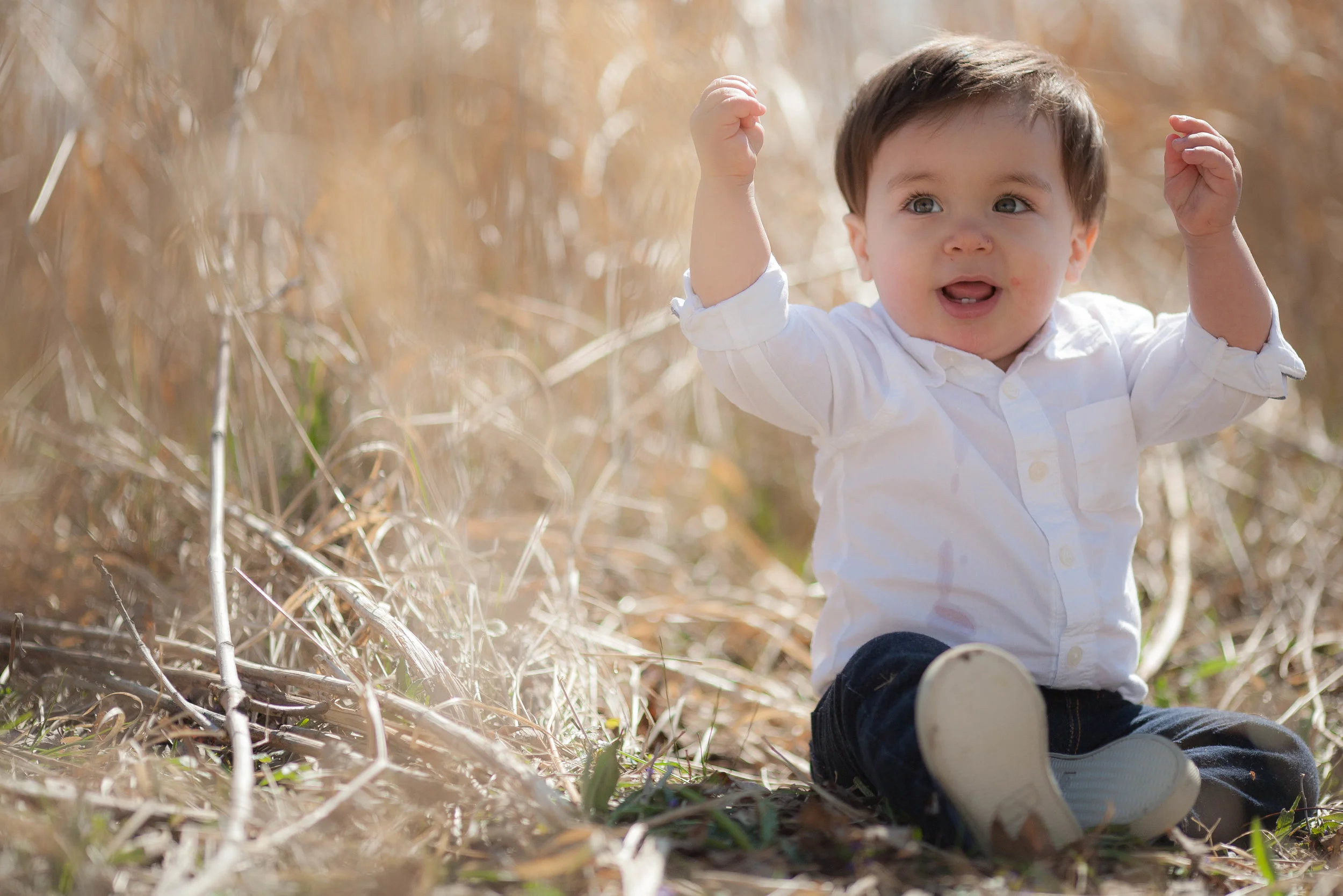 chicago baby photographer