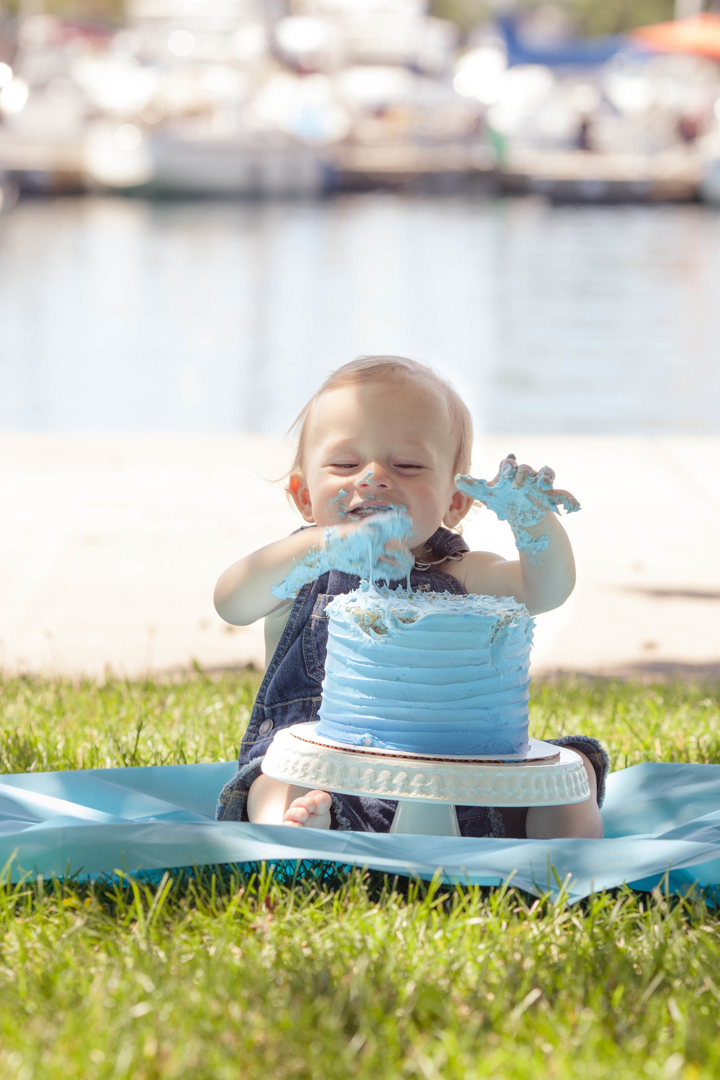 Montrose Beach Cake Smash