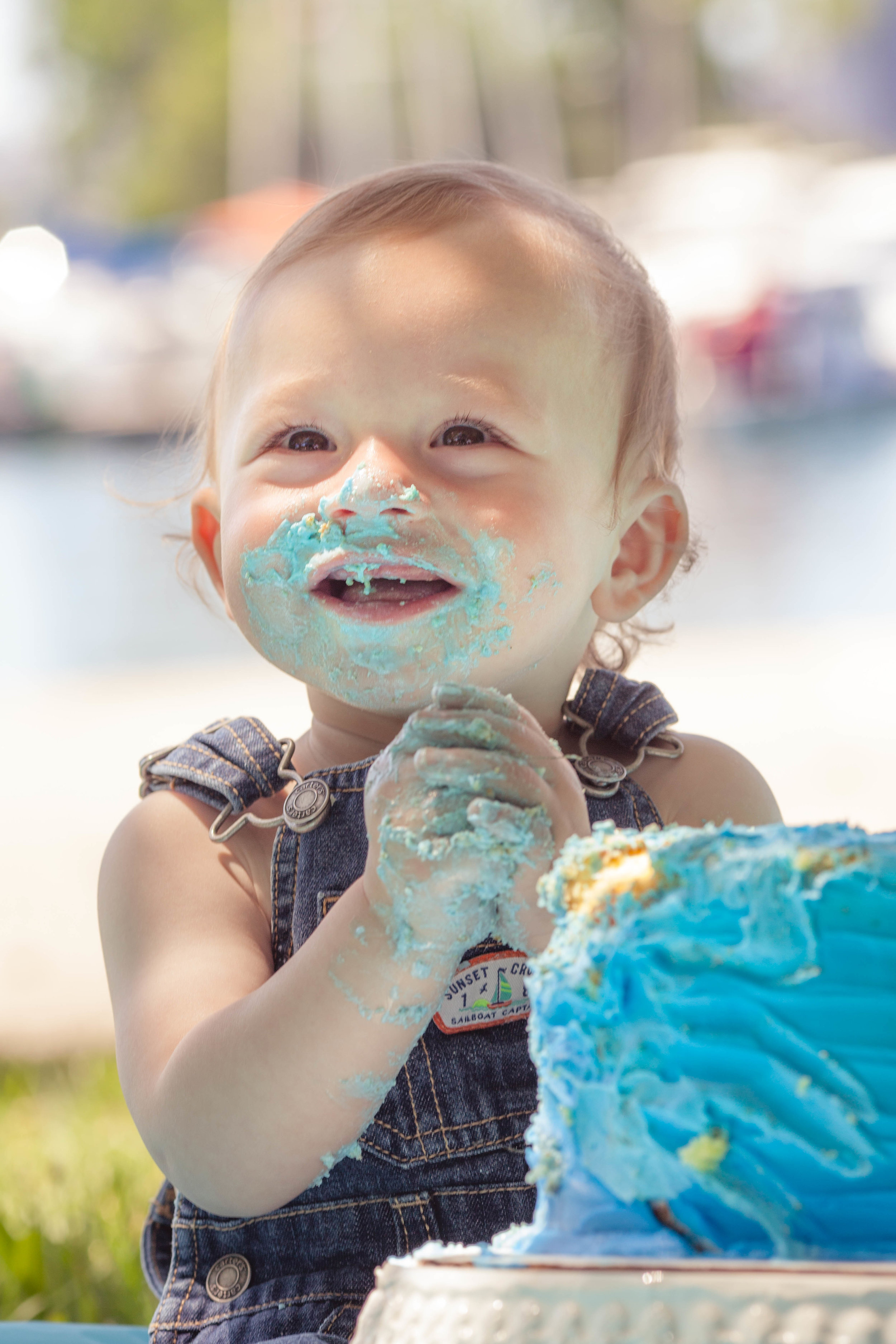 Montrose Beach Cake Smash