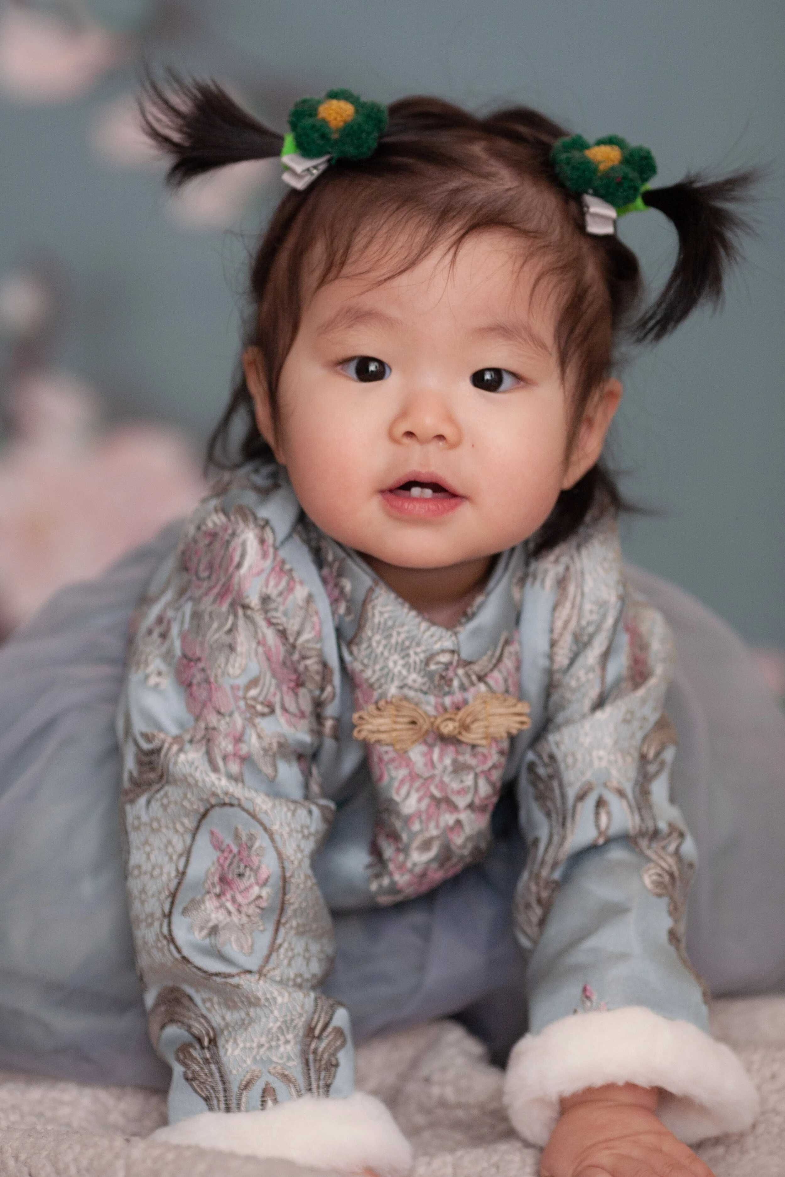 Baby Photographer Chicago