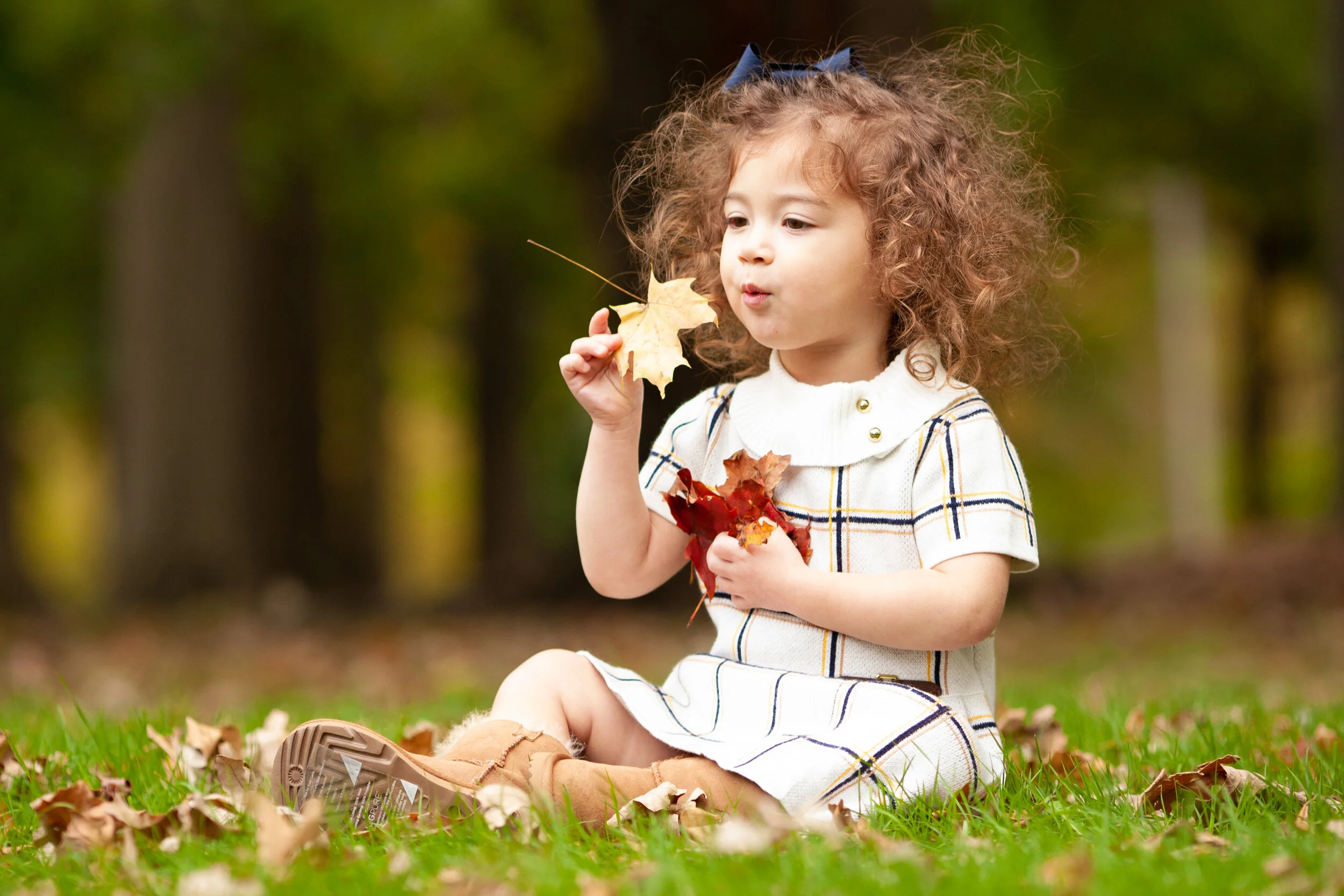 Chicago Fall Mini Photographer