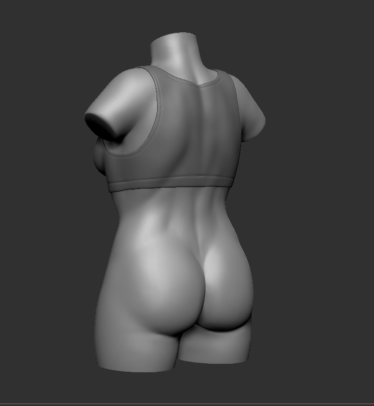 TorsoBack.PNG