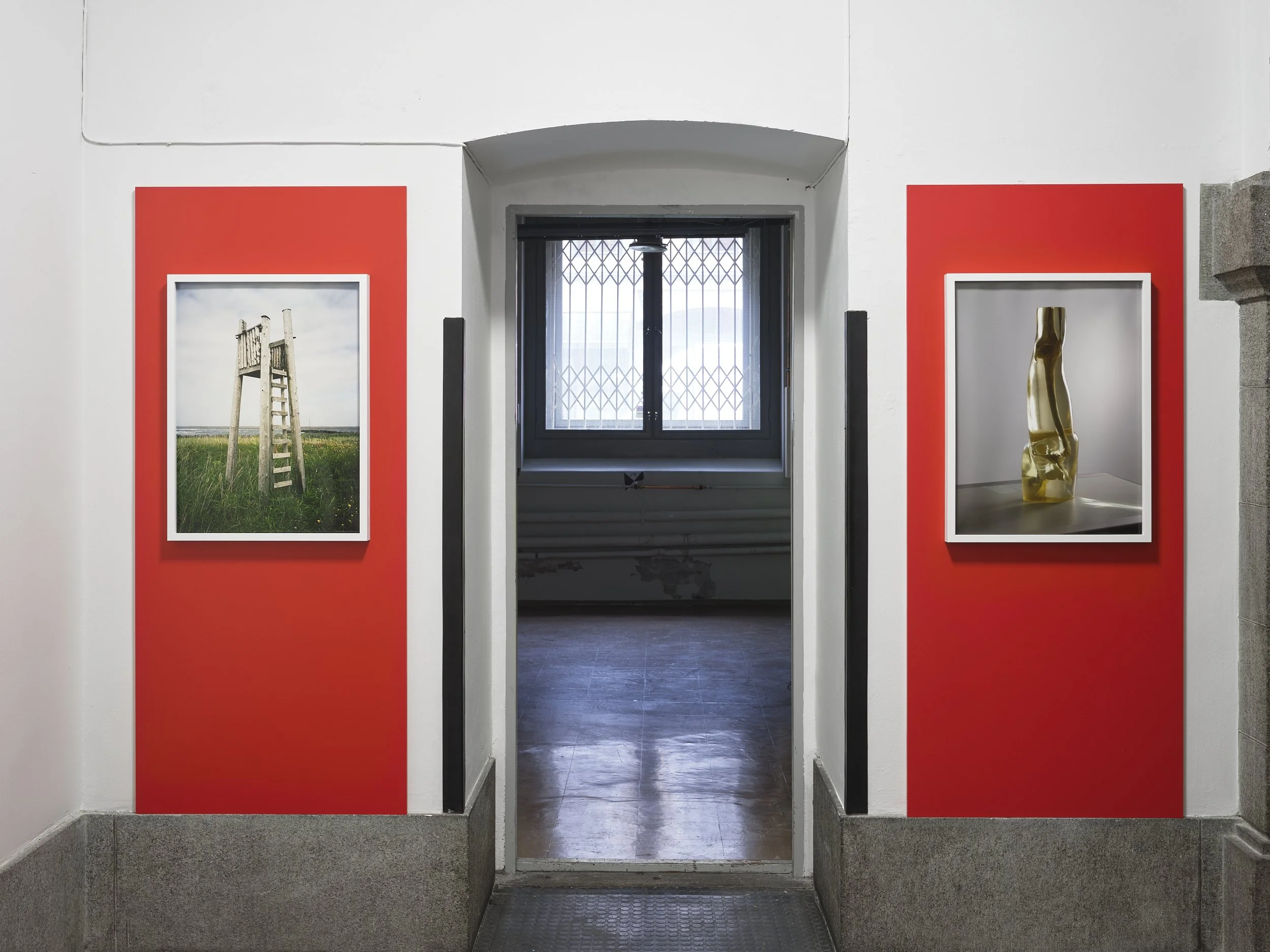 technoanimism presented by Skog Art Space at Oslo Negativ Photofestival — 11.10 - 26.10.25
