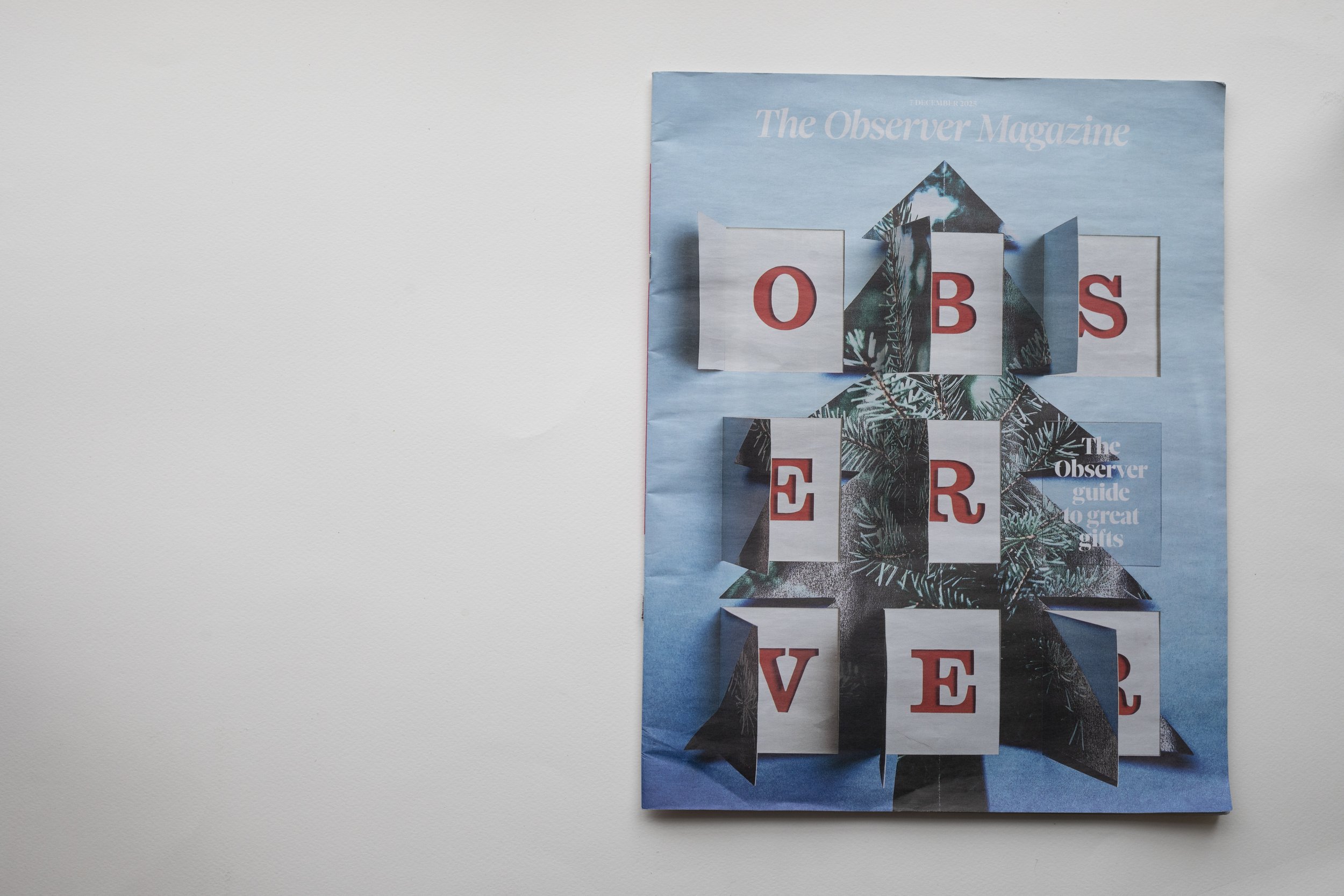 The Observer — Iceland Lagoon Travel Story