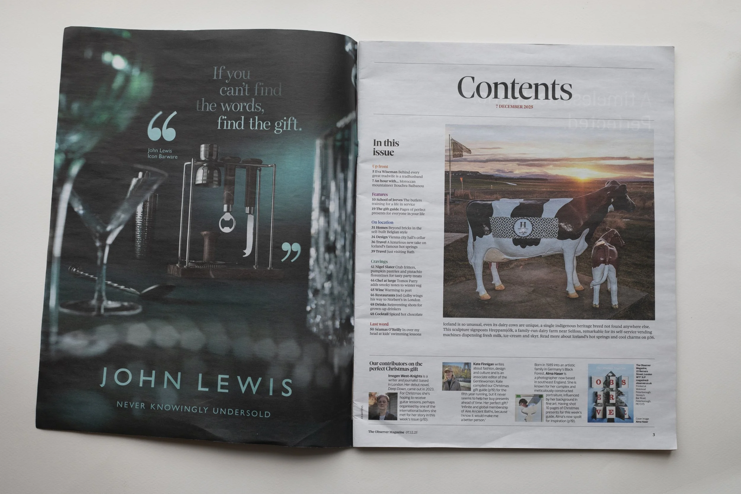 The Observer — Iceland Lagoon Travel Story