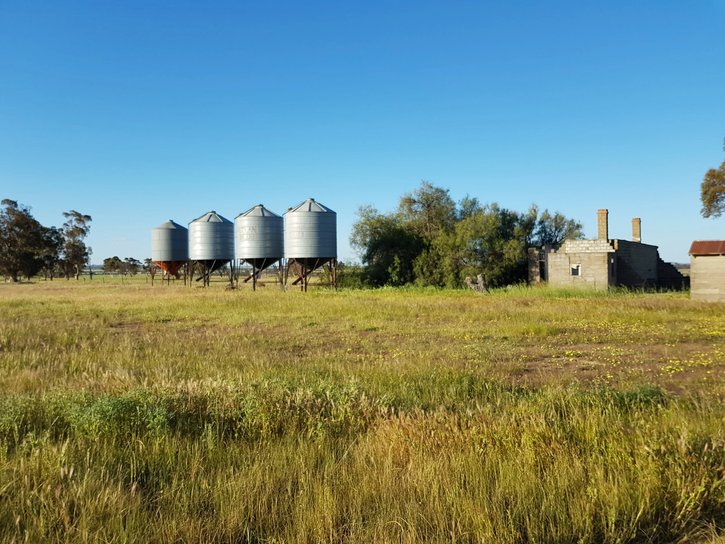 20180926_165249.jpg
