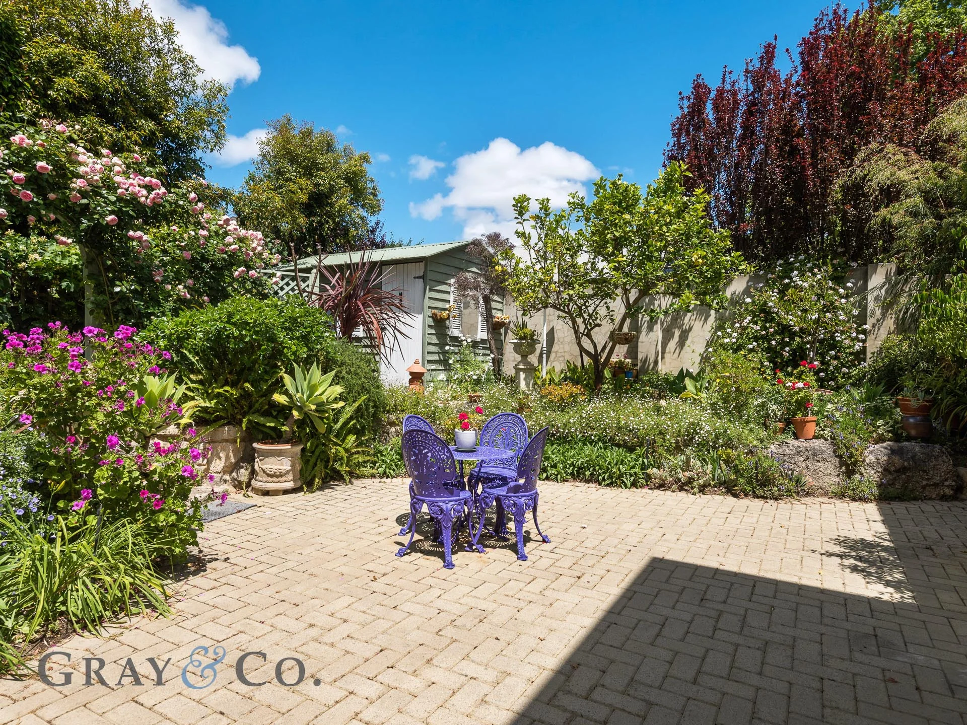 WEB 28 Davies Rd Dalkeith 35.jpg