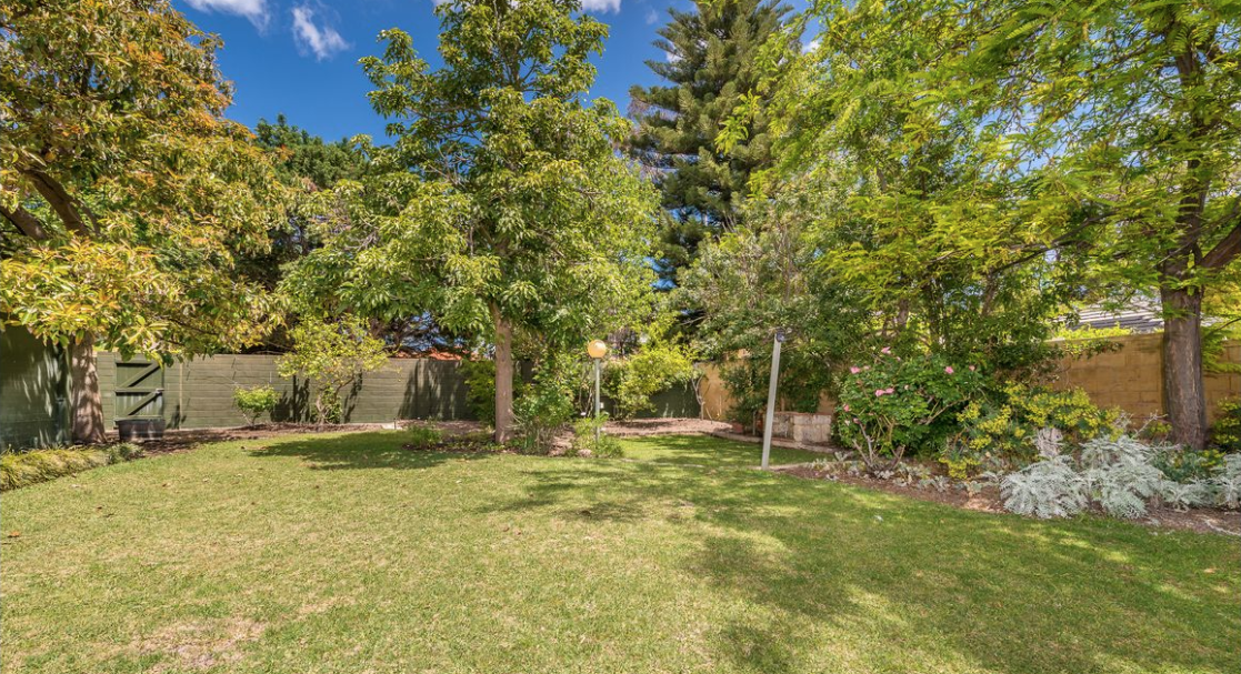 Back Garden 2019-05-06 at 2.34.40 pm.png