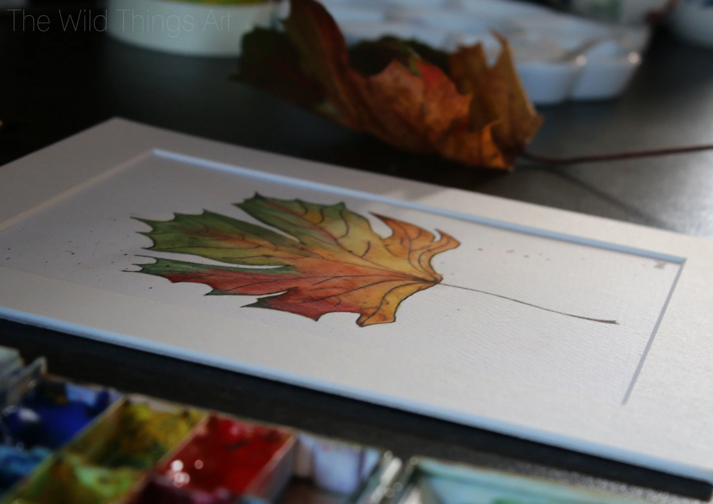 Autumn leaf.jpg