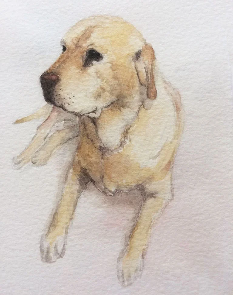 Pet Portrait 5.jpg