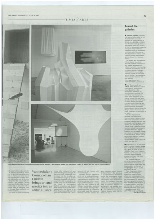 SUNDAY_TIMES_LISSON_GALLERY2web-copy.jpg