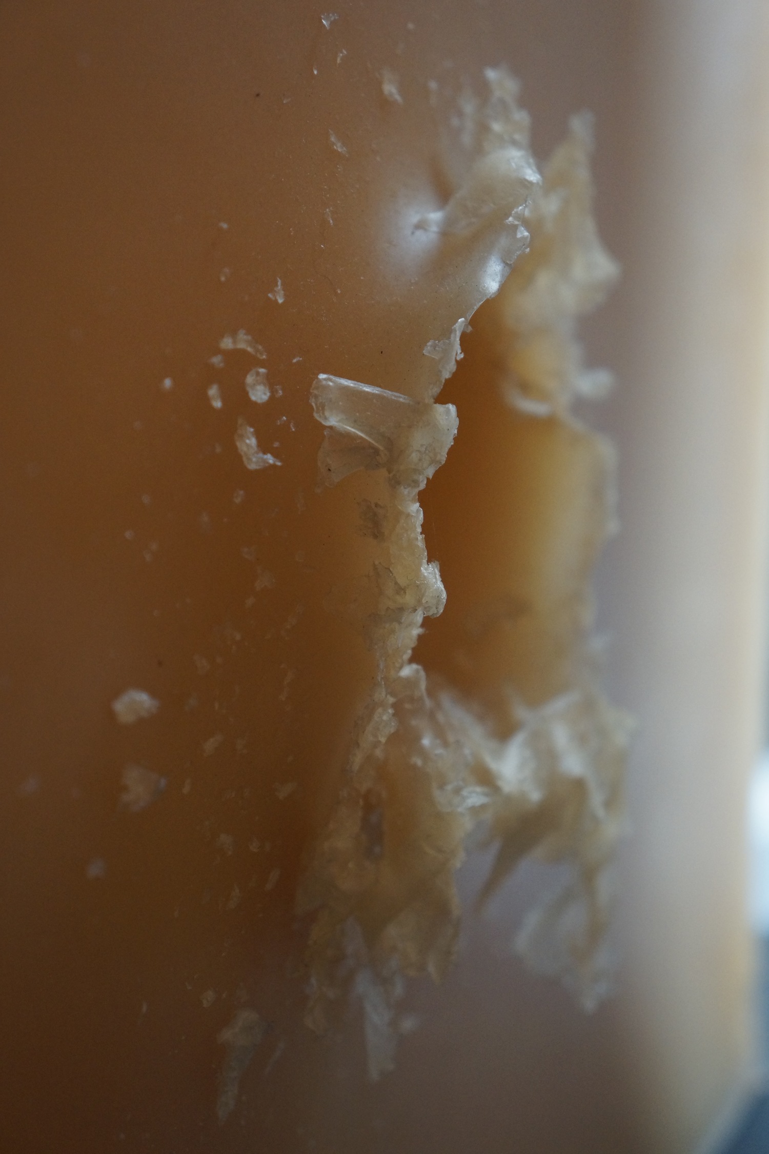 _DSC3281.jpeg