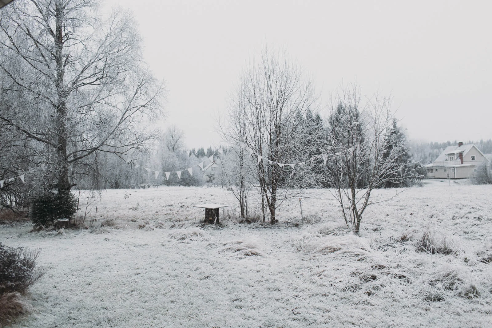 Sweden_munkfors_Evabloem-01.jpg